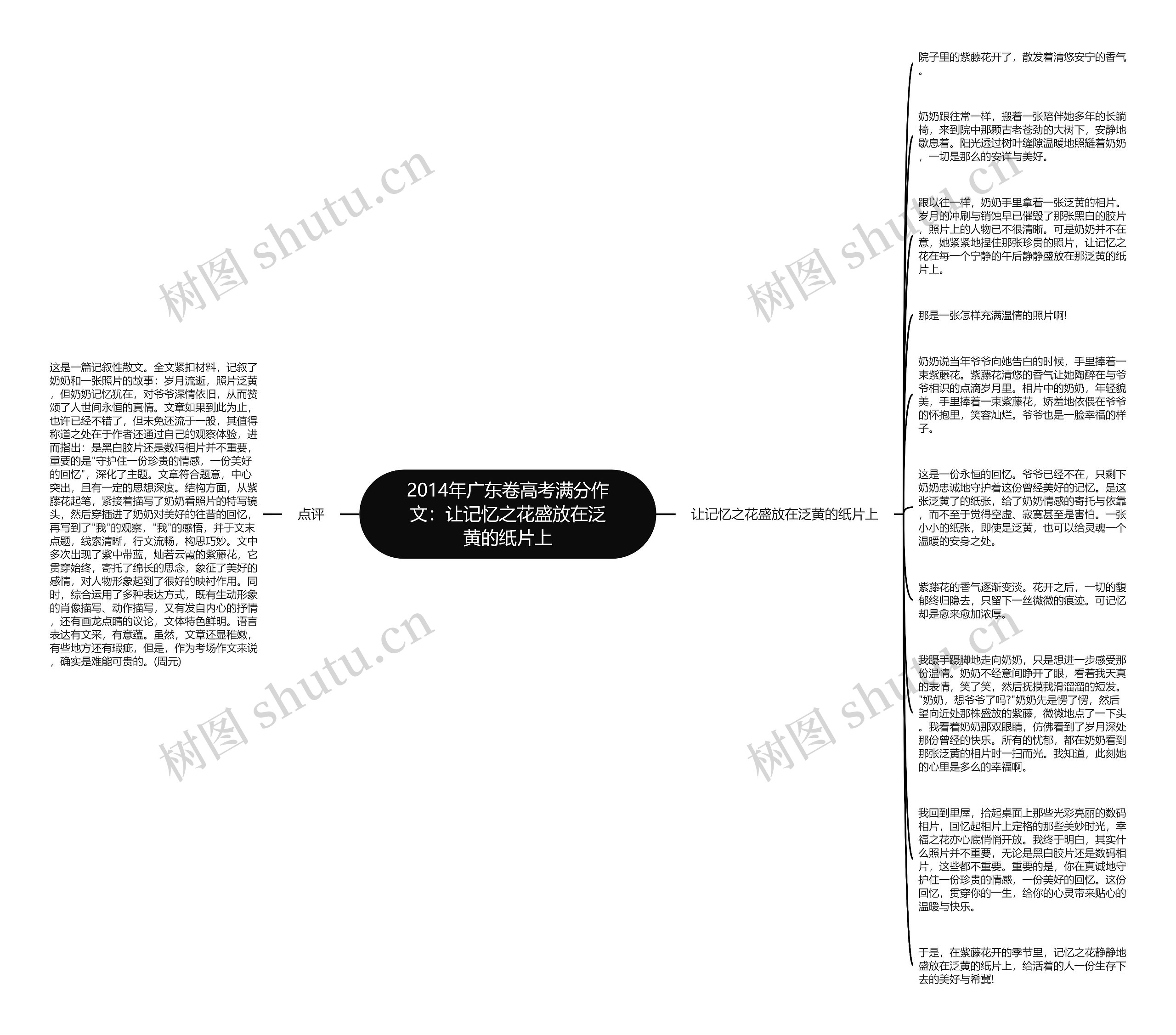2014年广东卷高考满分作文：让记忆之花盛放在泛黄的纸片上思维导图