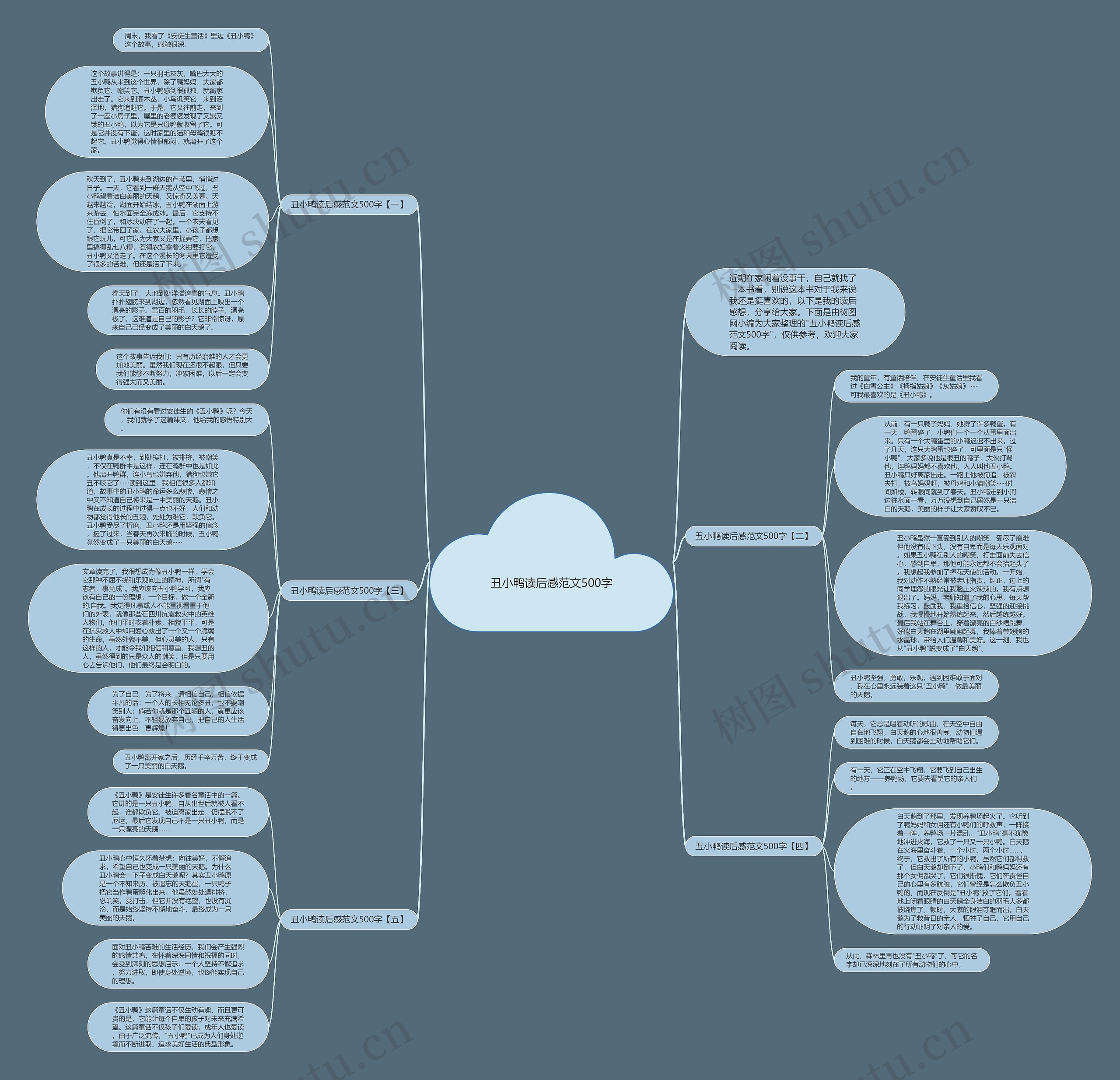 丑小鸭读后感范文500字思维导图