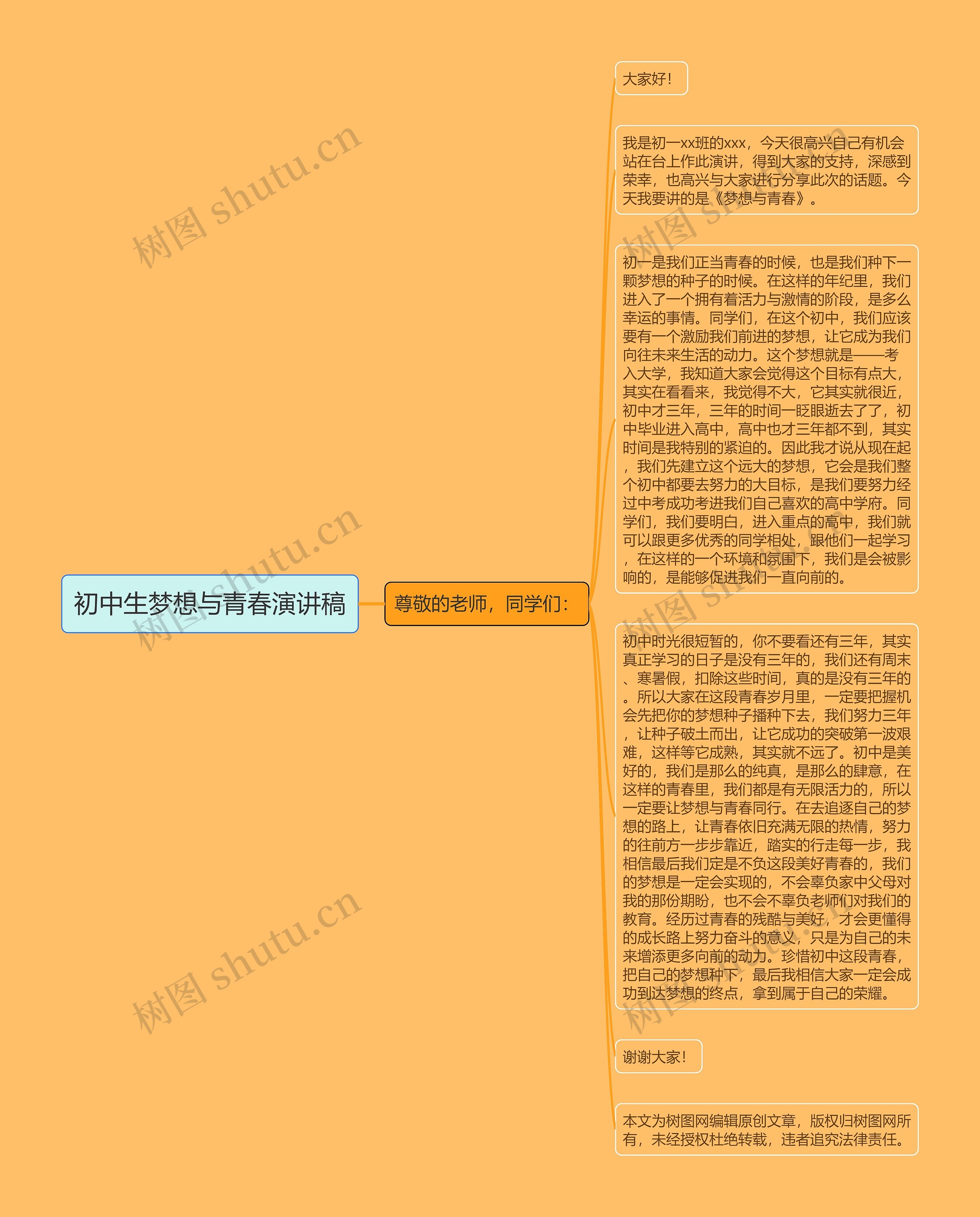 初中生梦想与青春演讲稿