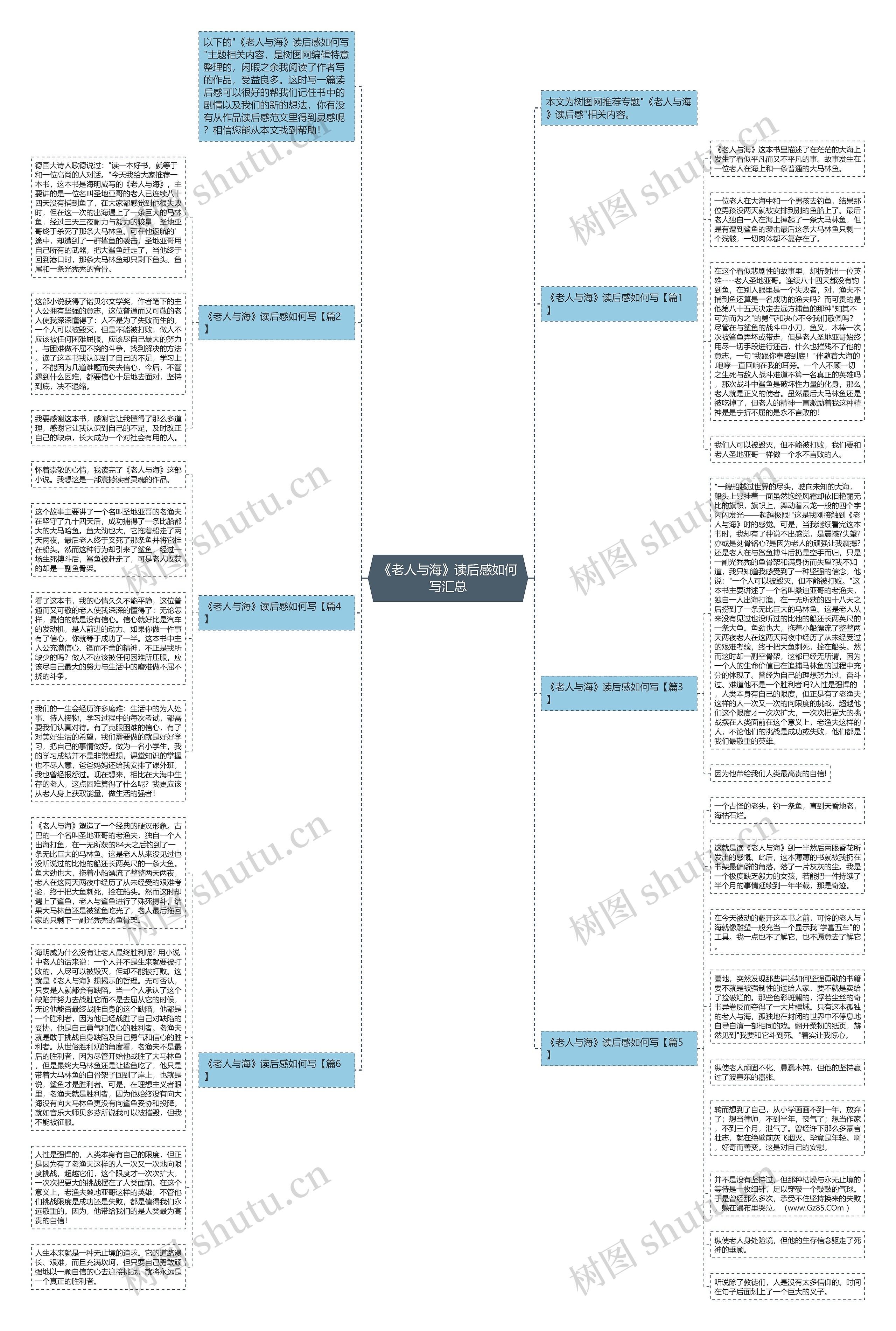 《老人与海》读后感如何写汇总思维导图