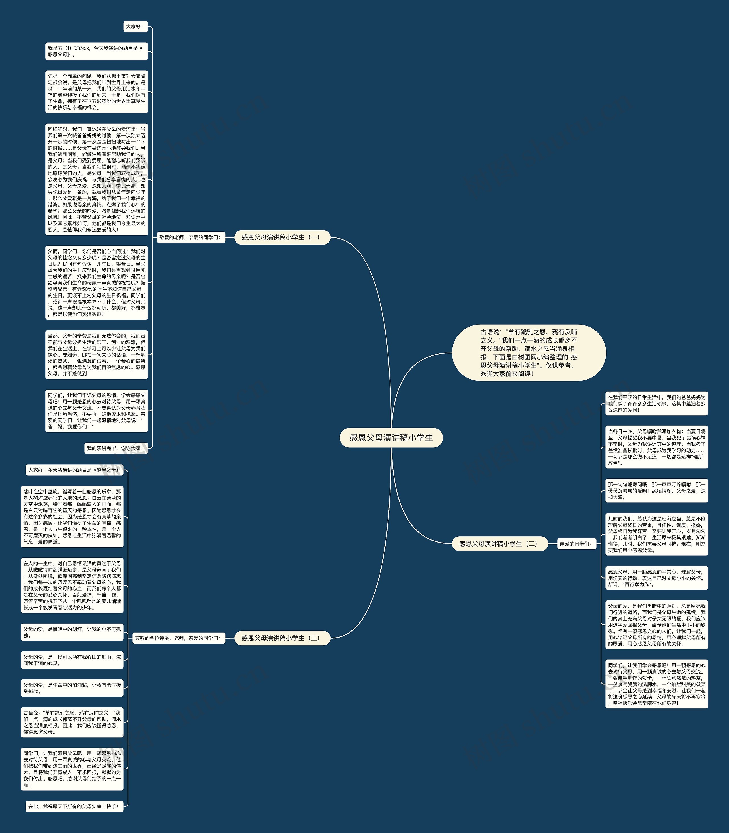 感恩父母演讲稿小学生思维导图