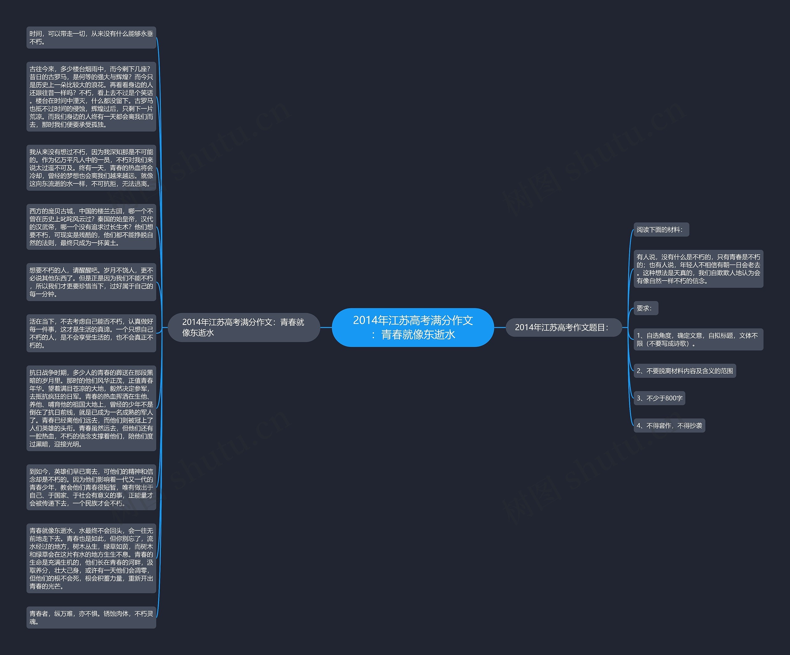 2014年江苏高考满分作文：青春就像东逝水思维导图