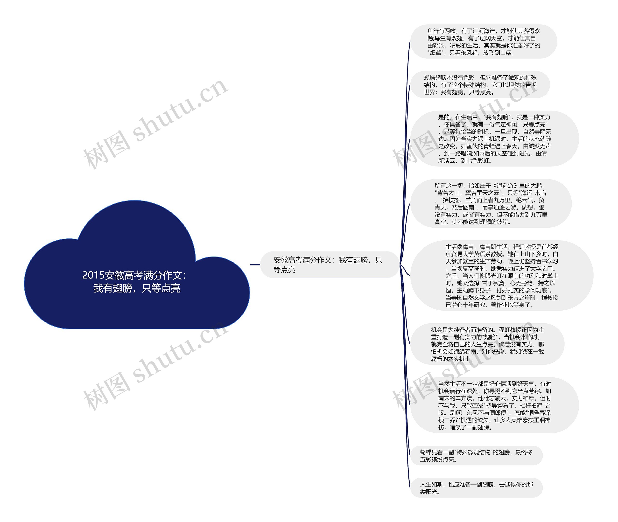 2015安徽高考满分作文：我有翅膀，只等点亮思维导图