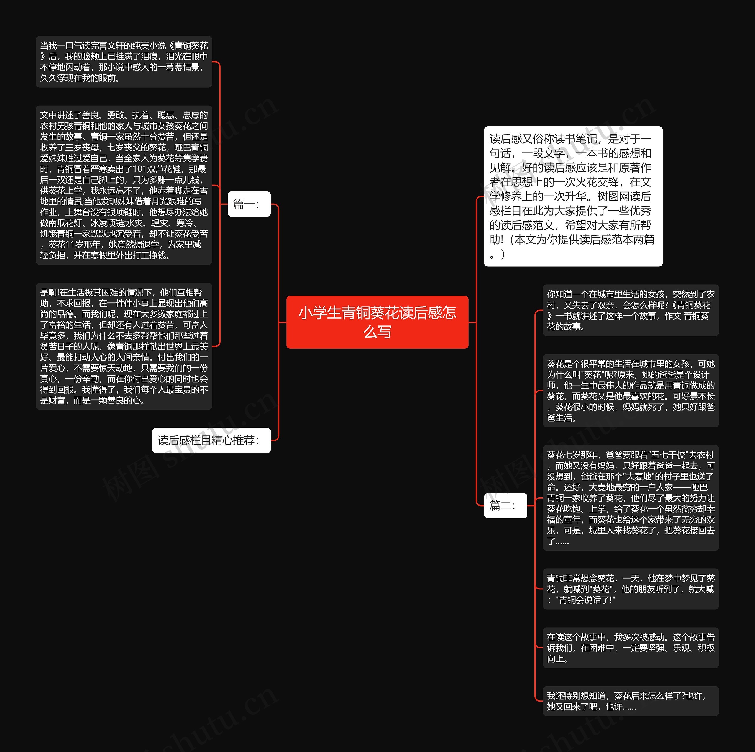 小学生青铜葵花读后感怎么写思维导图