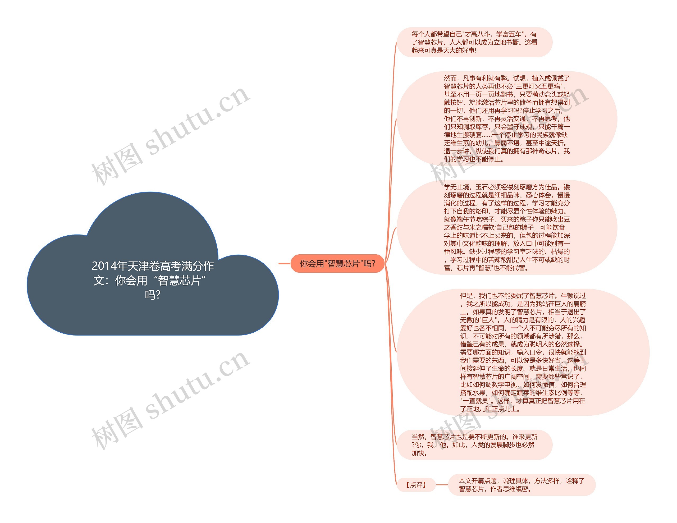 2014年天津卷高考满分作文：你会用“智慧芯片”吗?思维导图