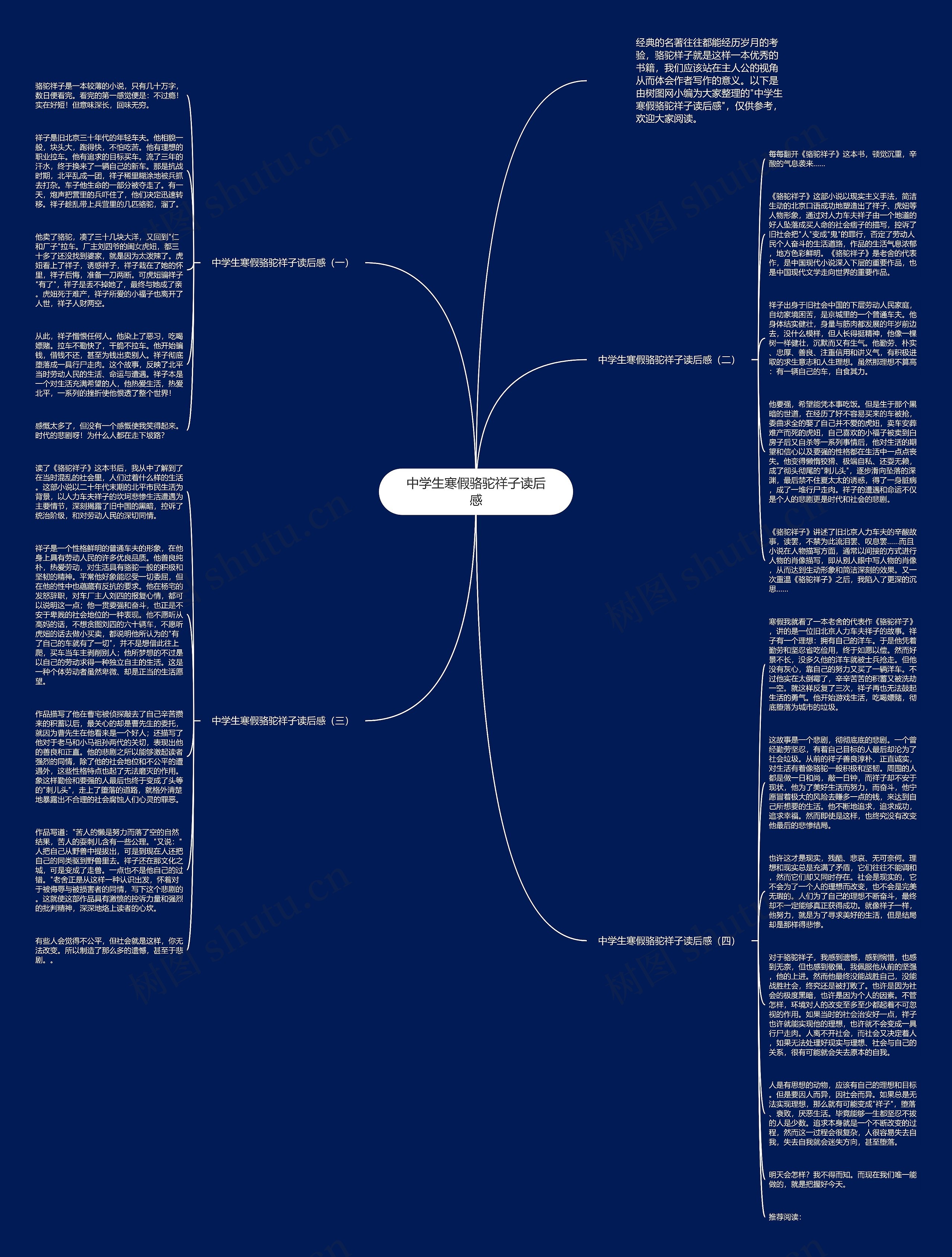 中学生寒假骆驼祥子读后感思维导图