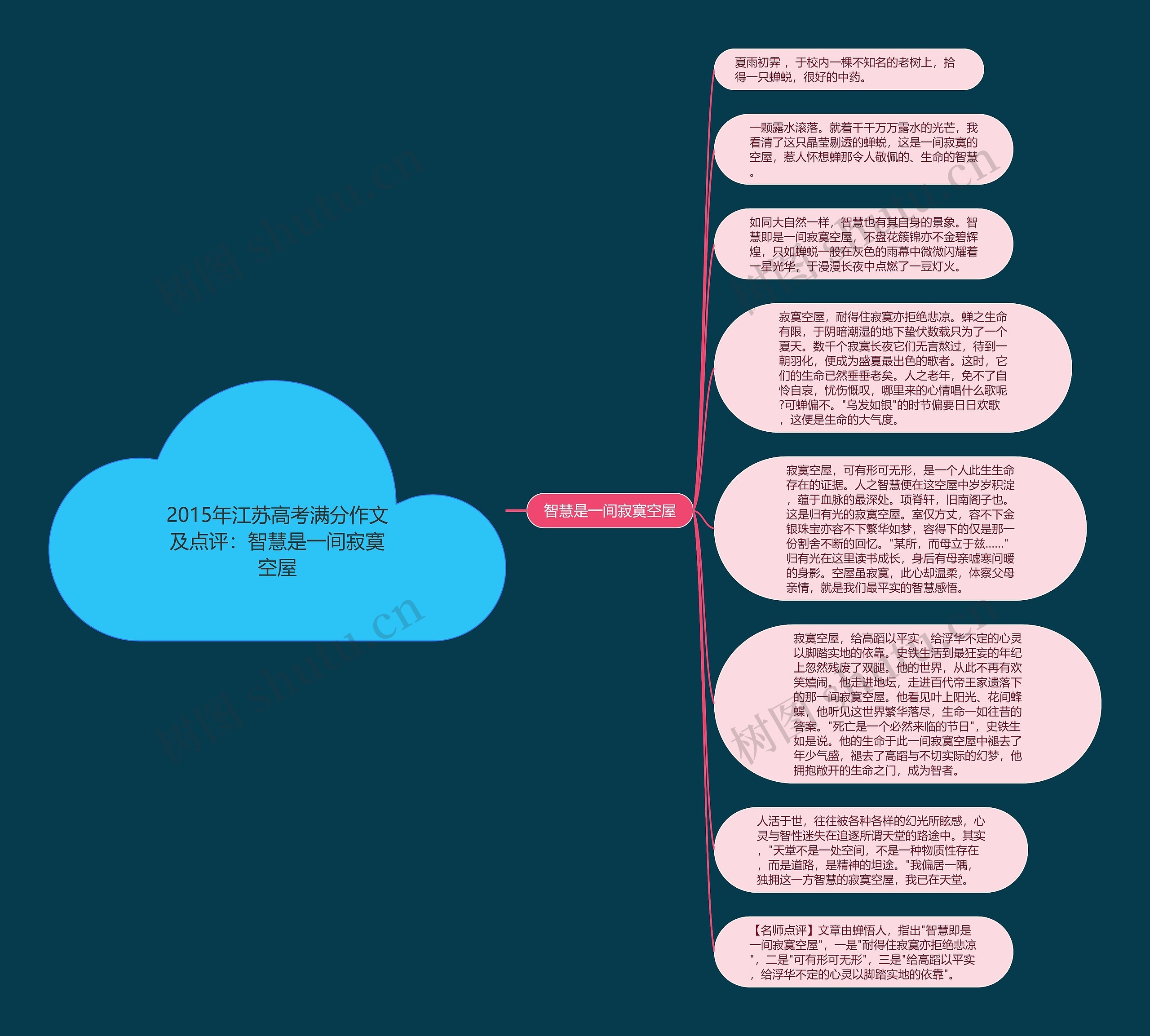 2015年江苏高考满分作文及点评：智慧是一间寂寞空屋思维导图