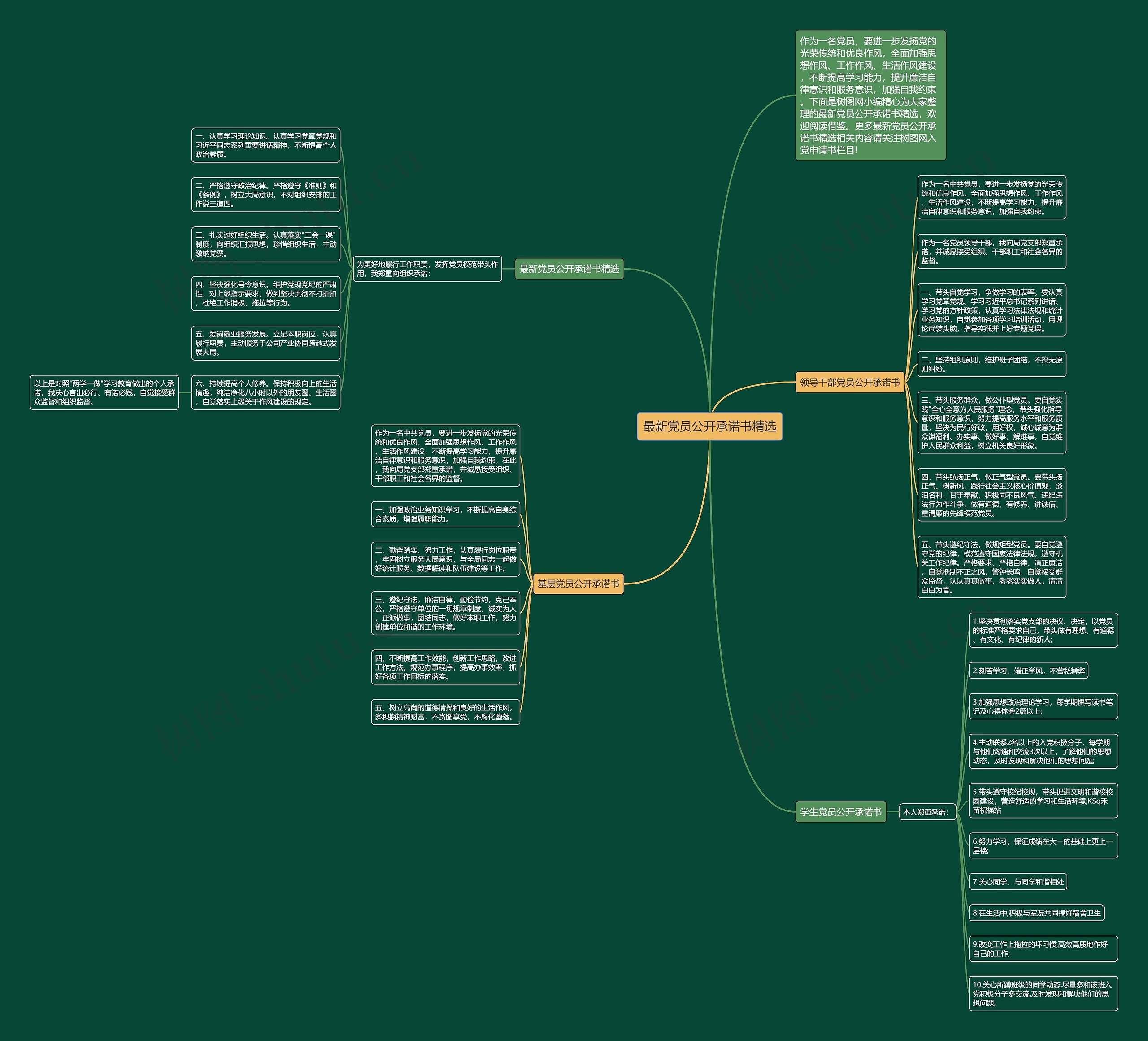 最新党员公开承诺书精选思维导图