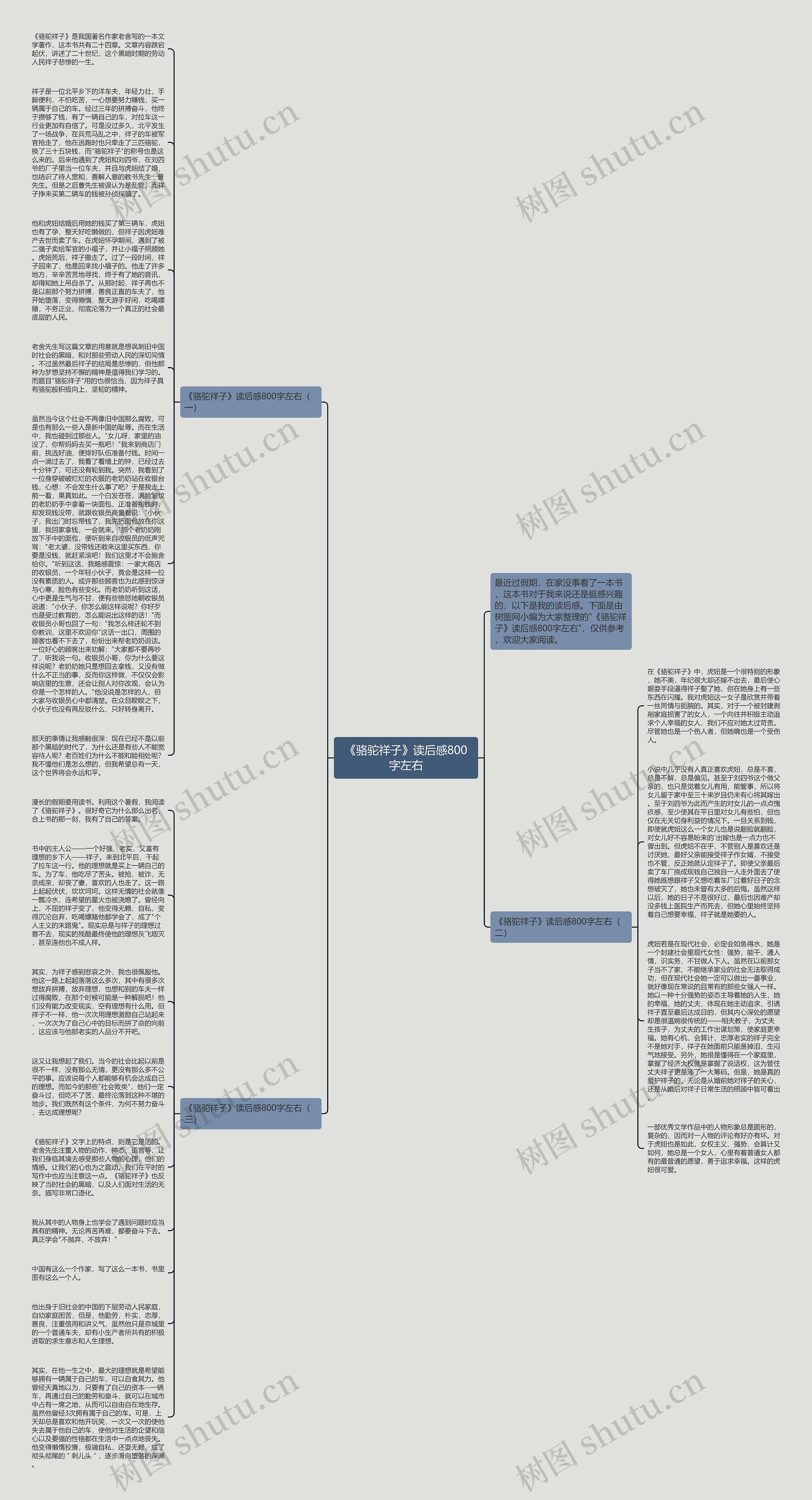 《骆驼祥子》读后感800字左右思维导图