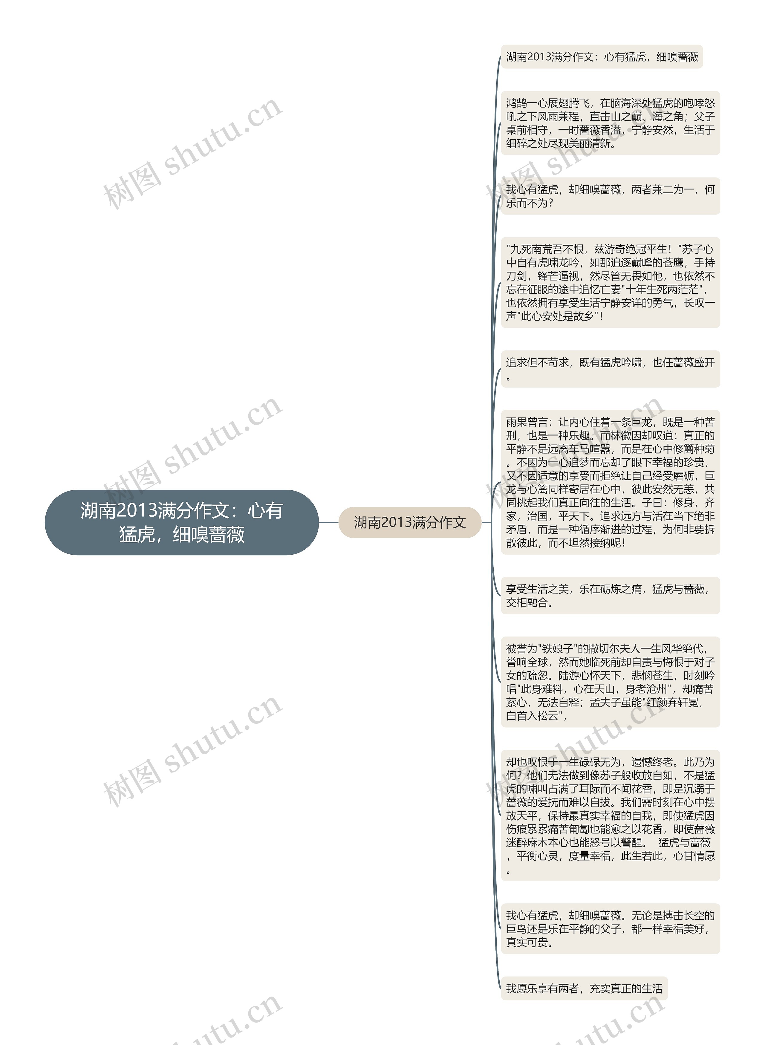 湖南2013满分作文：心有猛虎，细嗅蔷薇思维导图