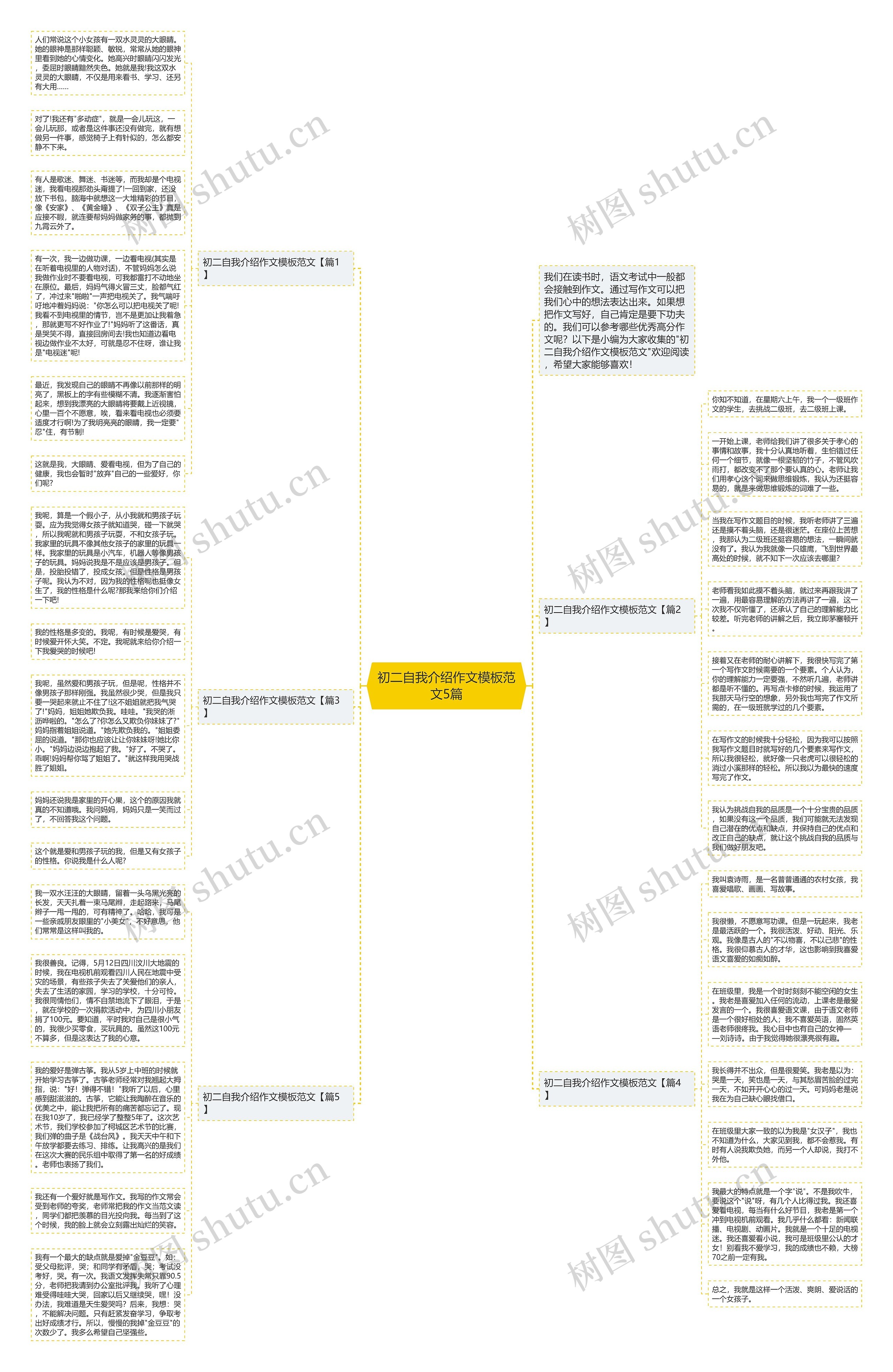 初二自我介绍作文范文5篇思维导图