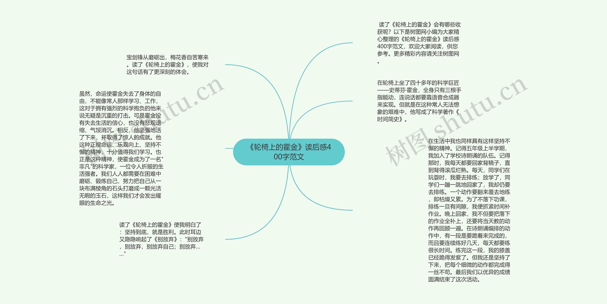 《轮椅上的霍金》读后感400字范文