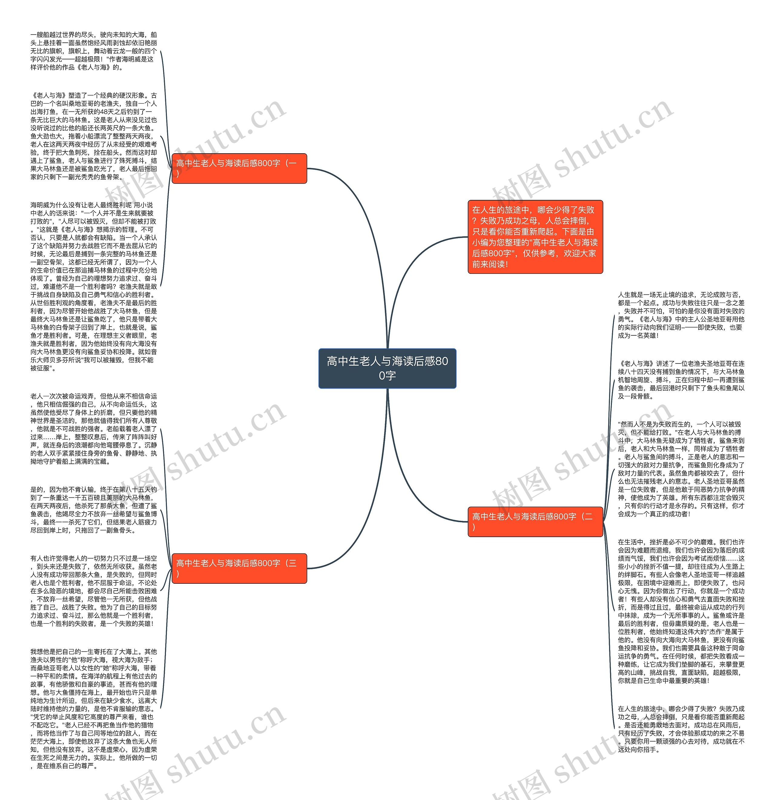 高中生老人与海读后感800字思维导图