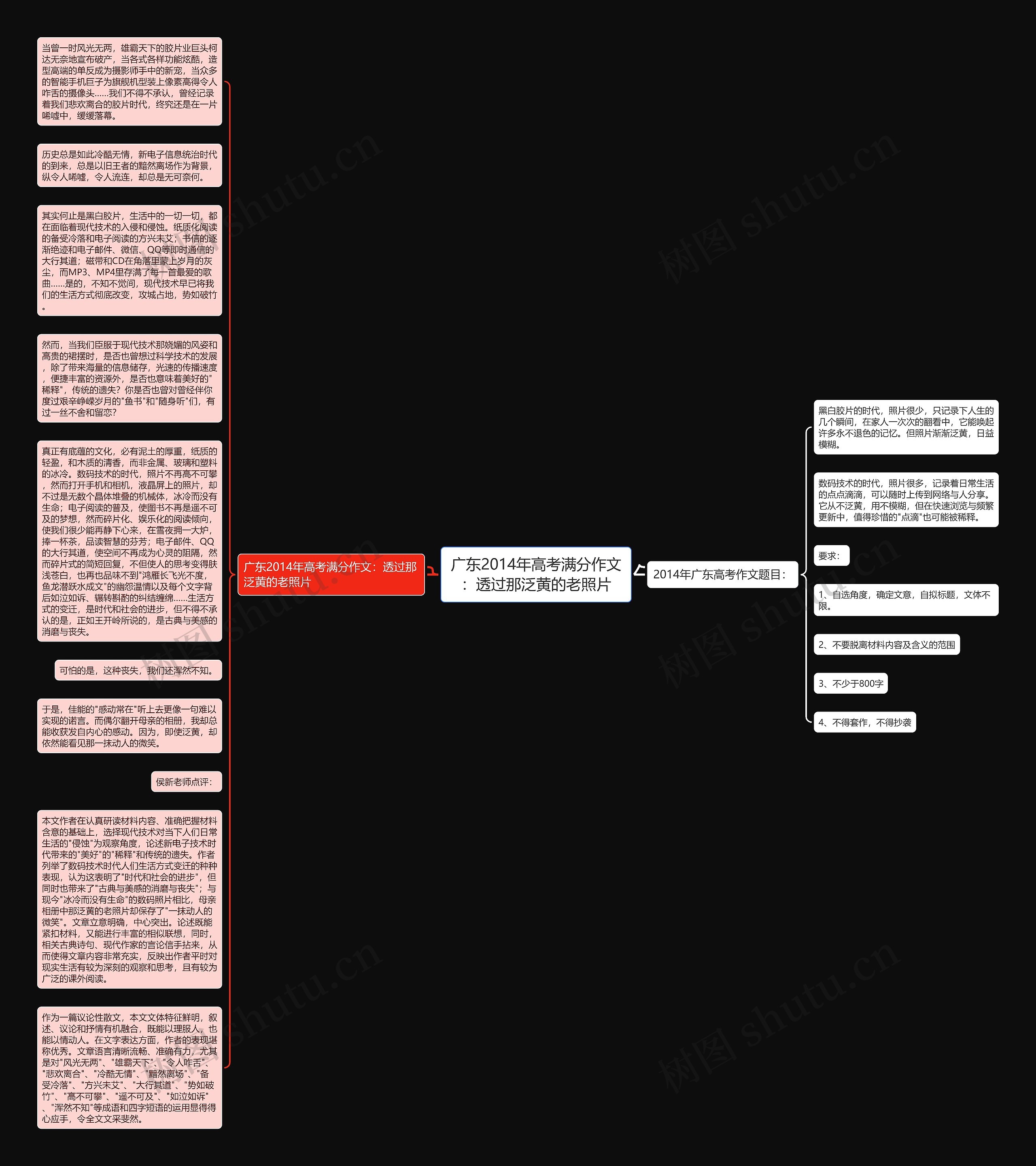 广东2014年高考满分作文：透过那泛黄的老照片思维导图