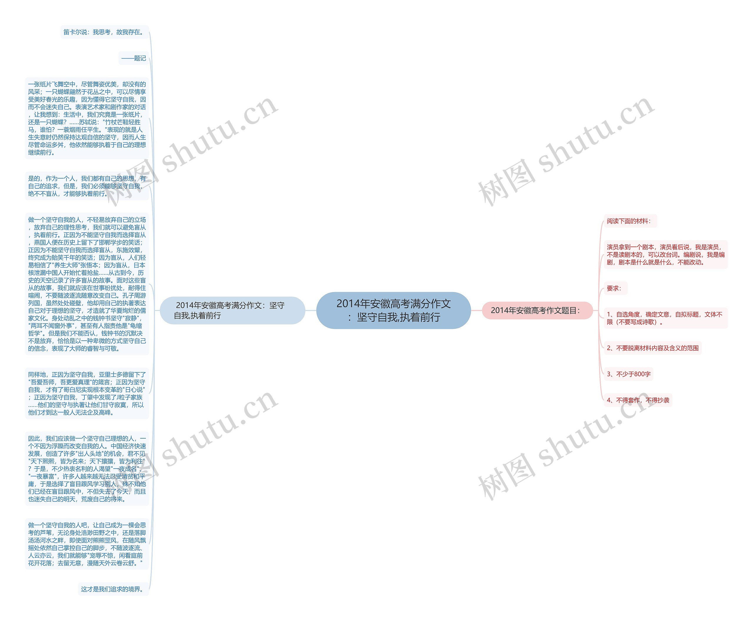 2014年安徽高考满分作文：坚守自我,执着前行思维导图