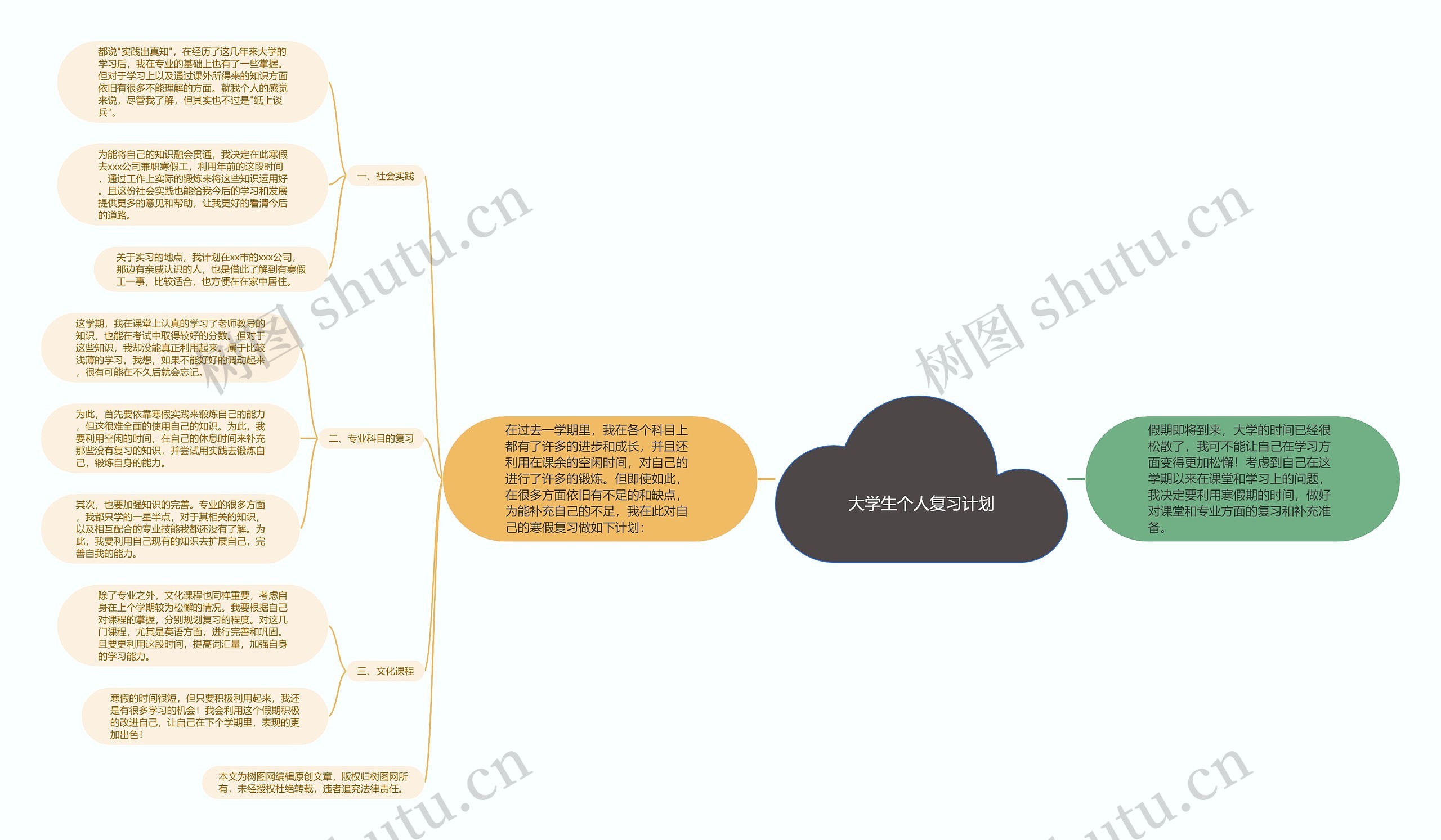 大学生个人复习计划思维导图