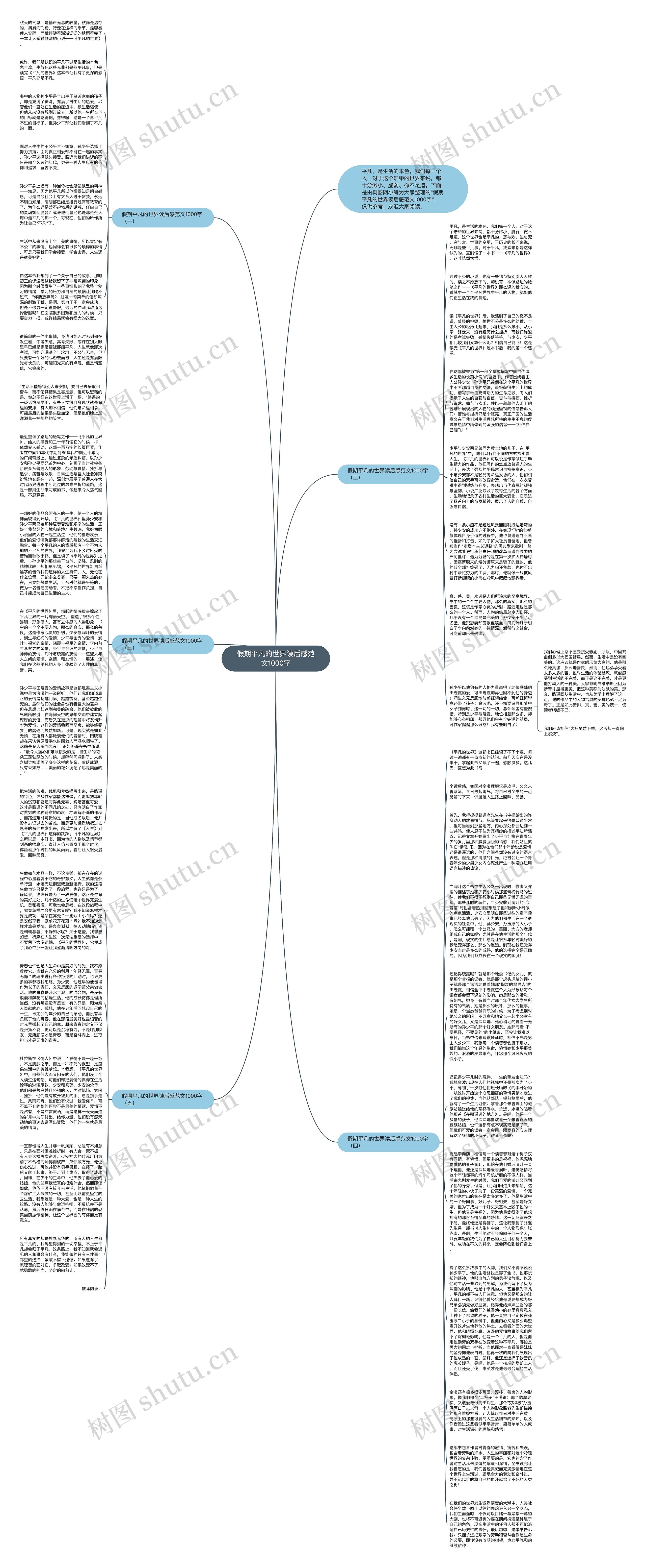 假期平凡的世界读后感范文1000字思维导图