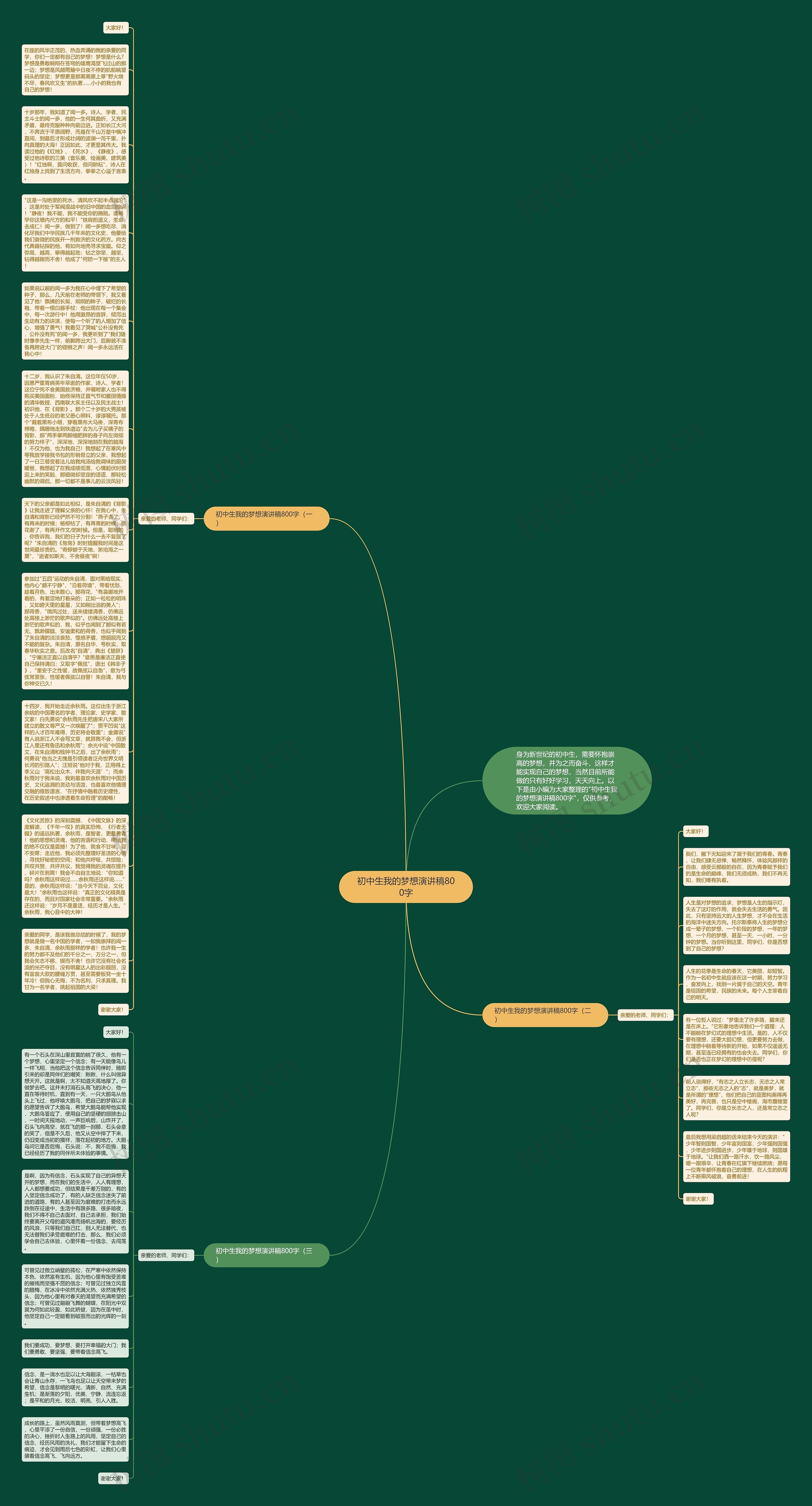 初中生我的梦想演讲稿800字思维导图