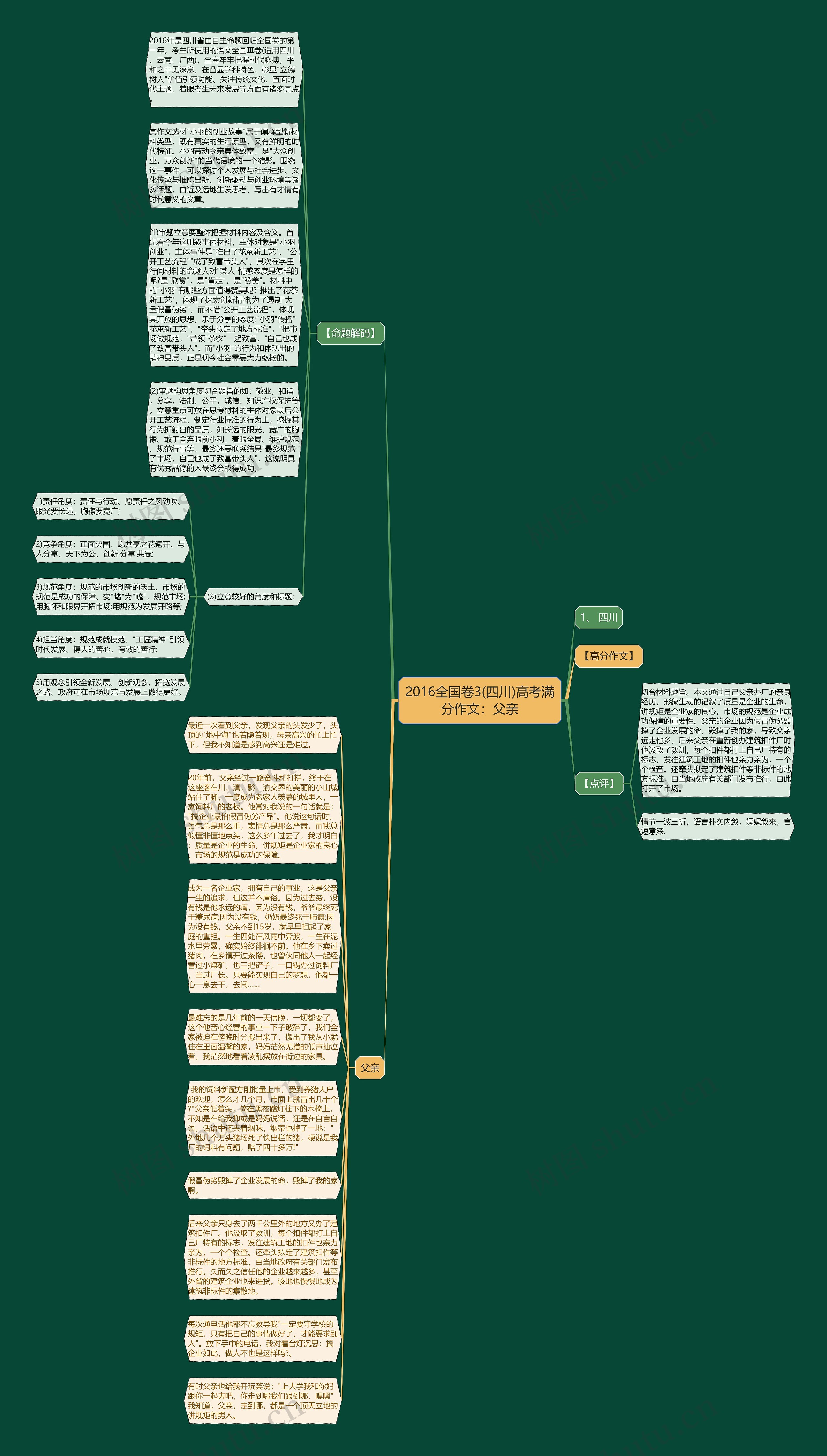 2016全国卷3(四川)高考满分作文：父亲思维导图