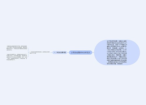 公司总经理材料分析范文