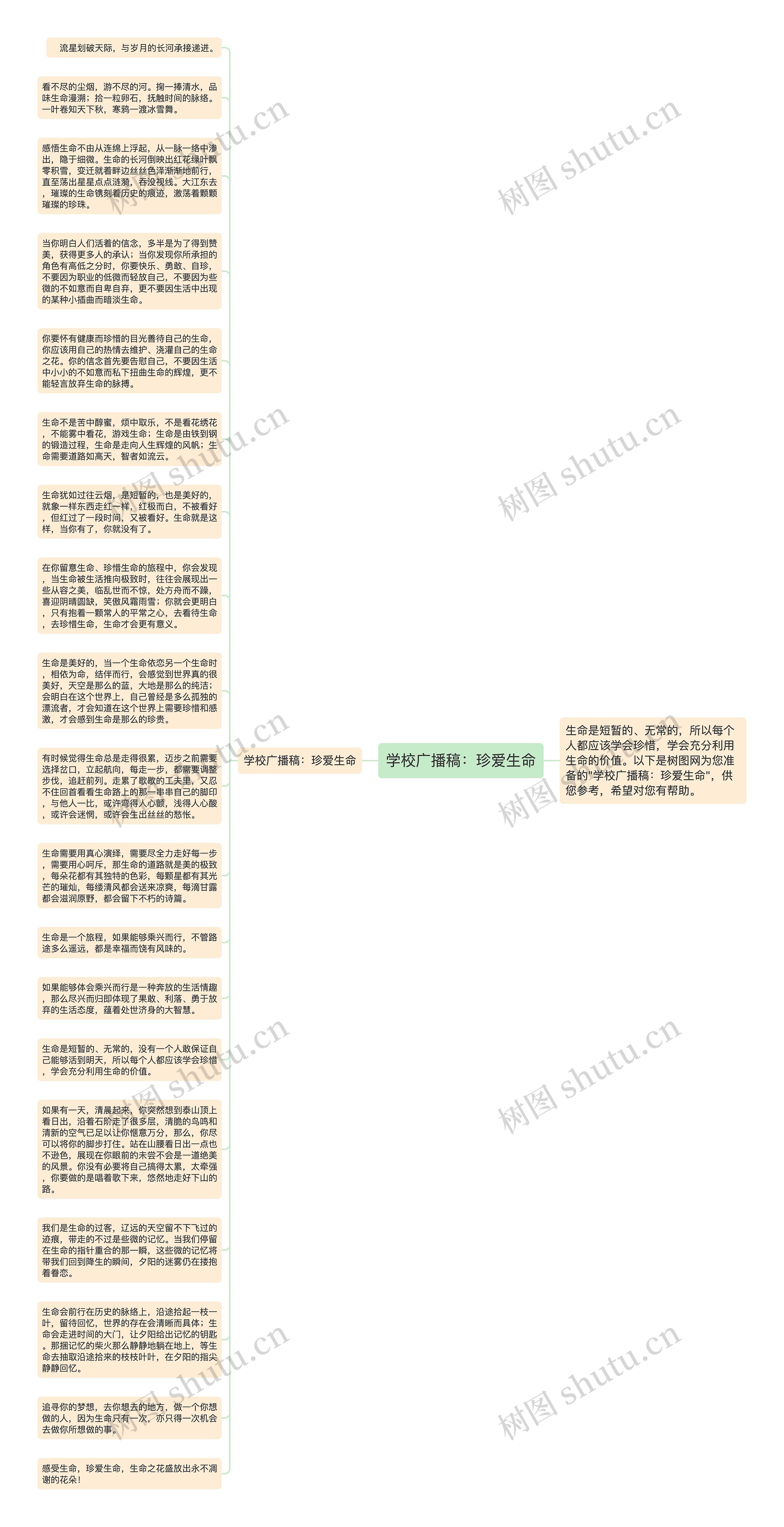 学校广播稿：珍爱生命思维导图