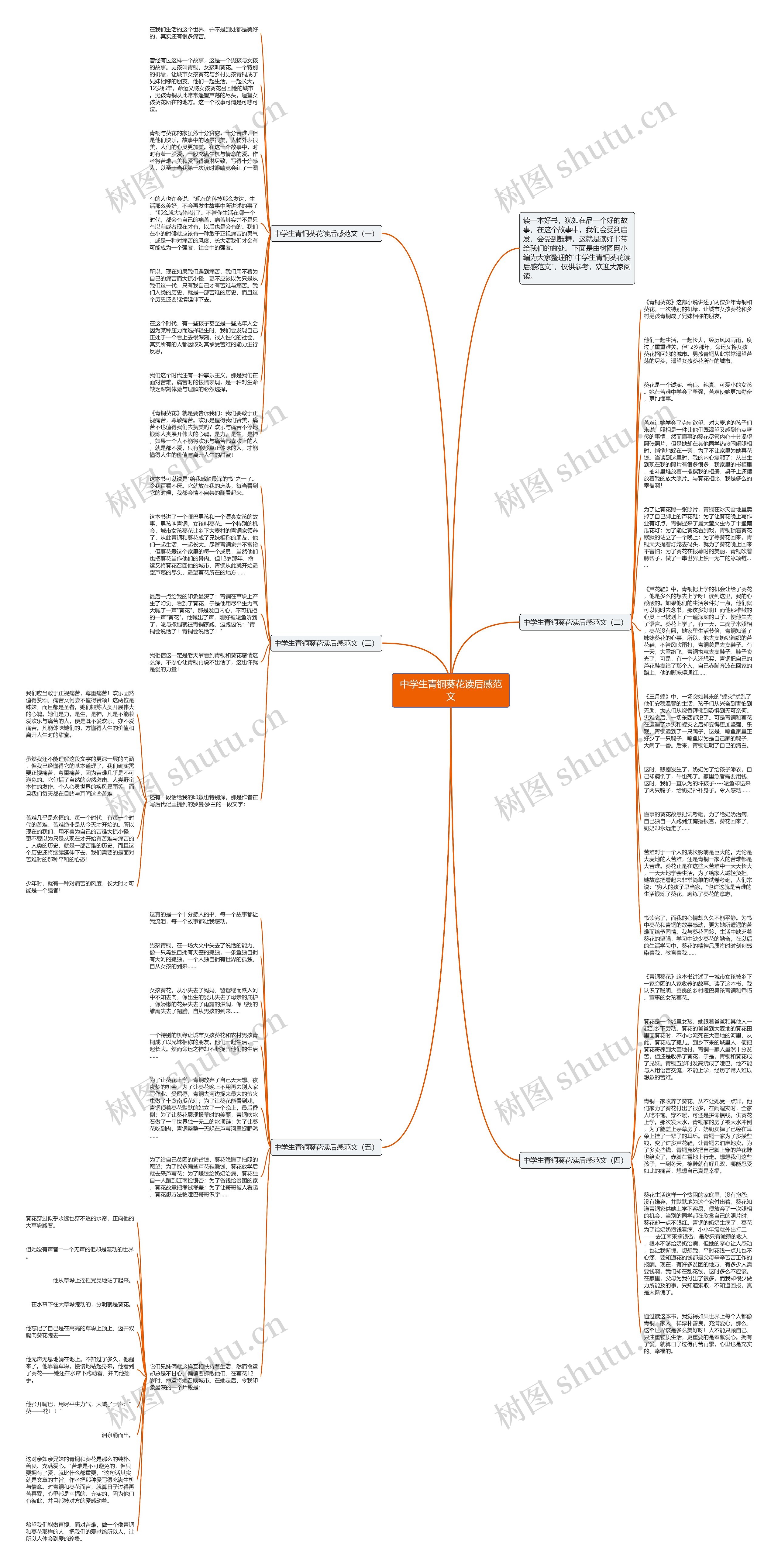 中学生青铜葵花读后感范文思维导图