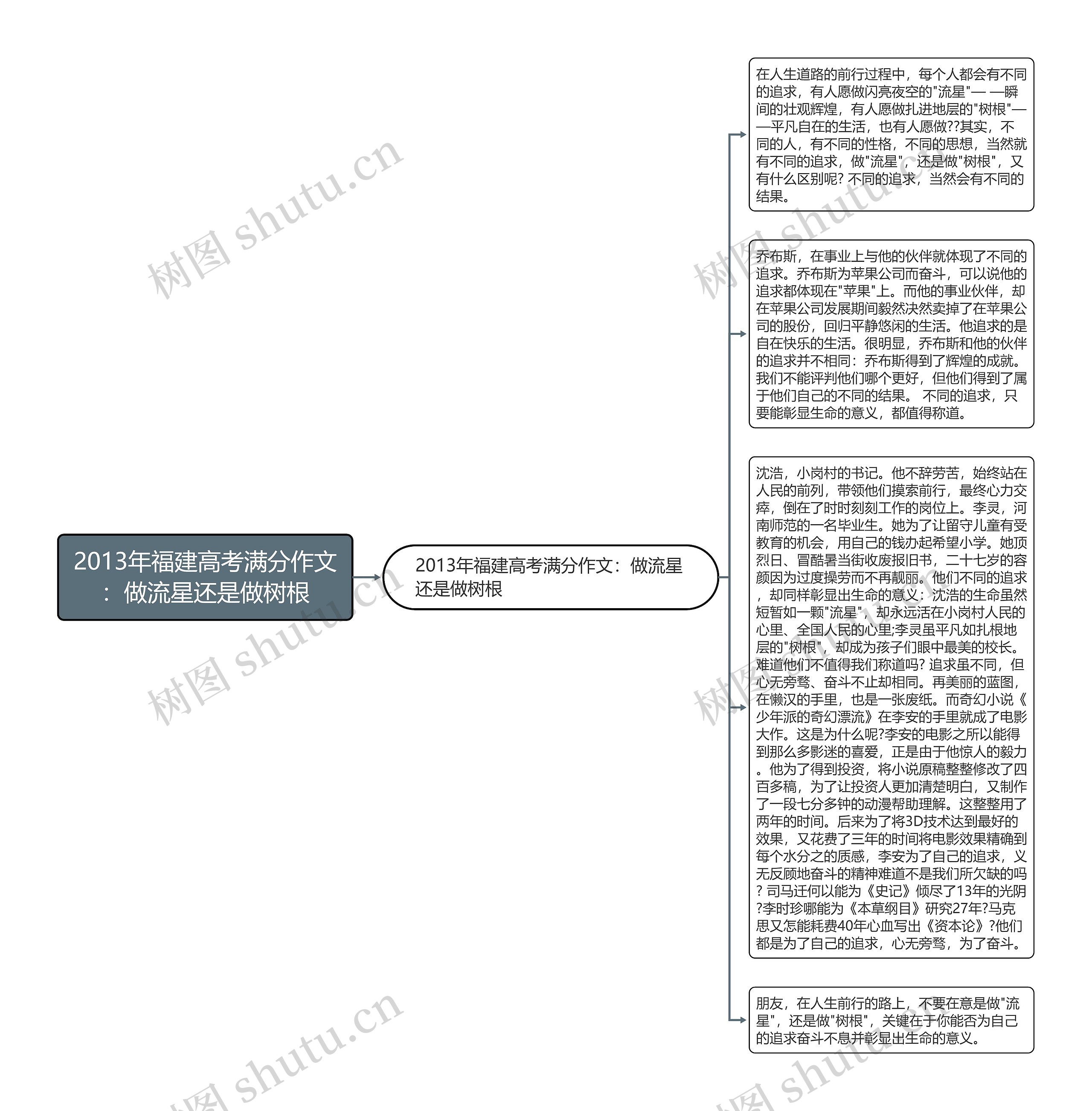 2013年福建高考满分作文：做流星还是做树根