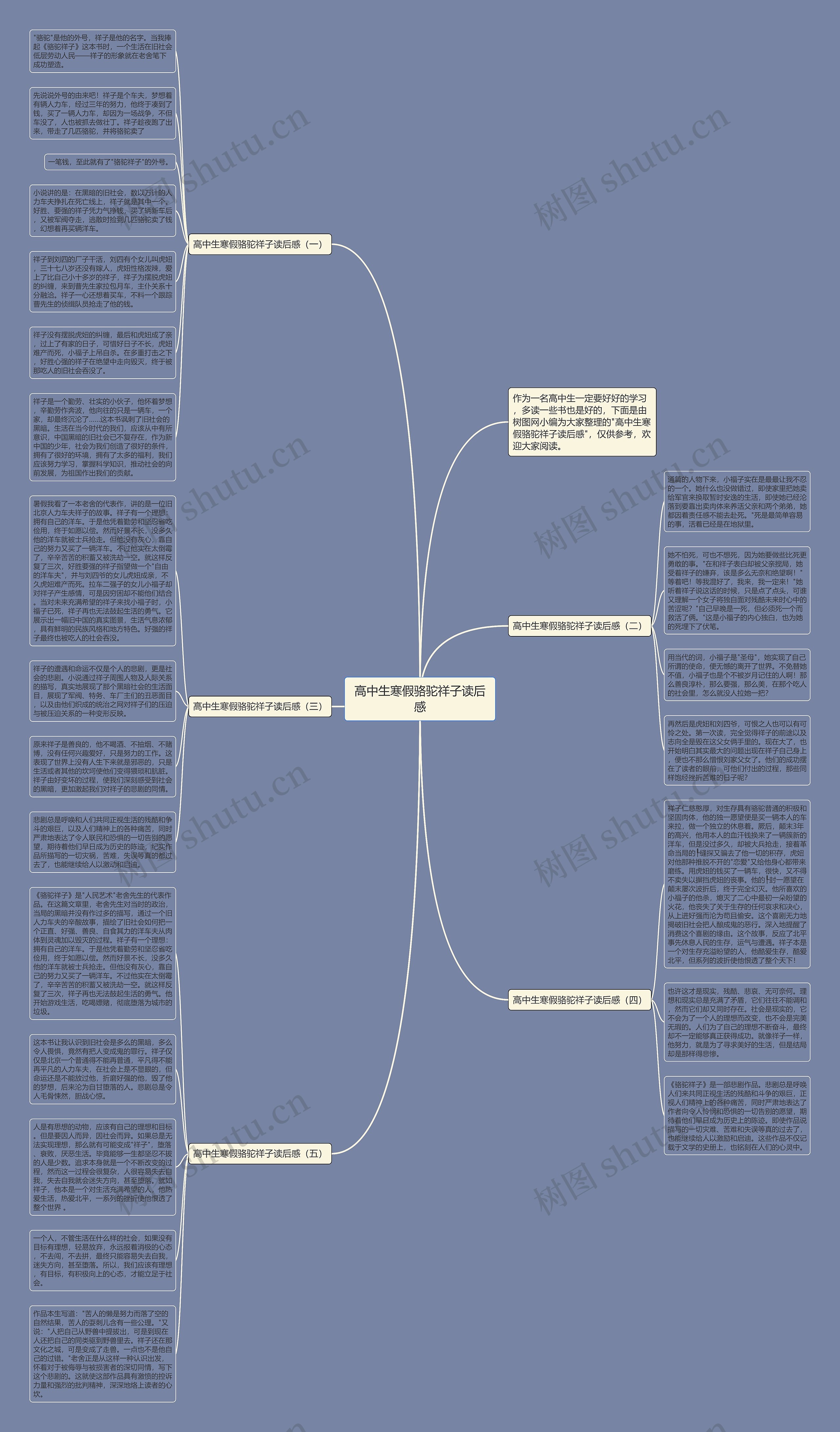 高中生寒假骆驼祥子读后感思维导图