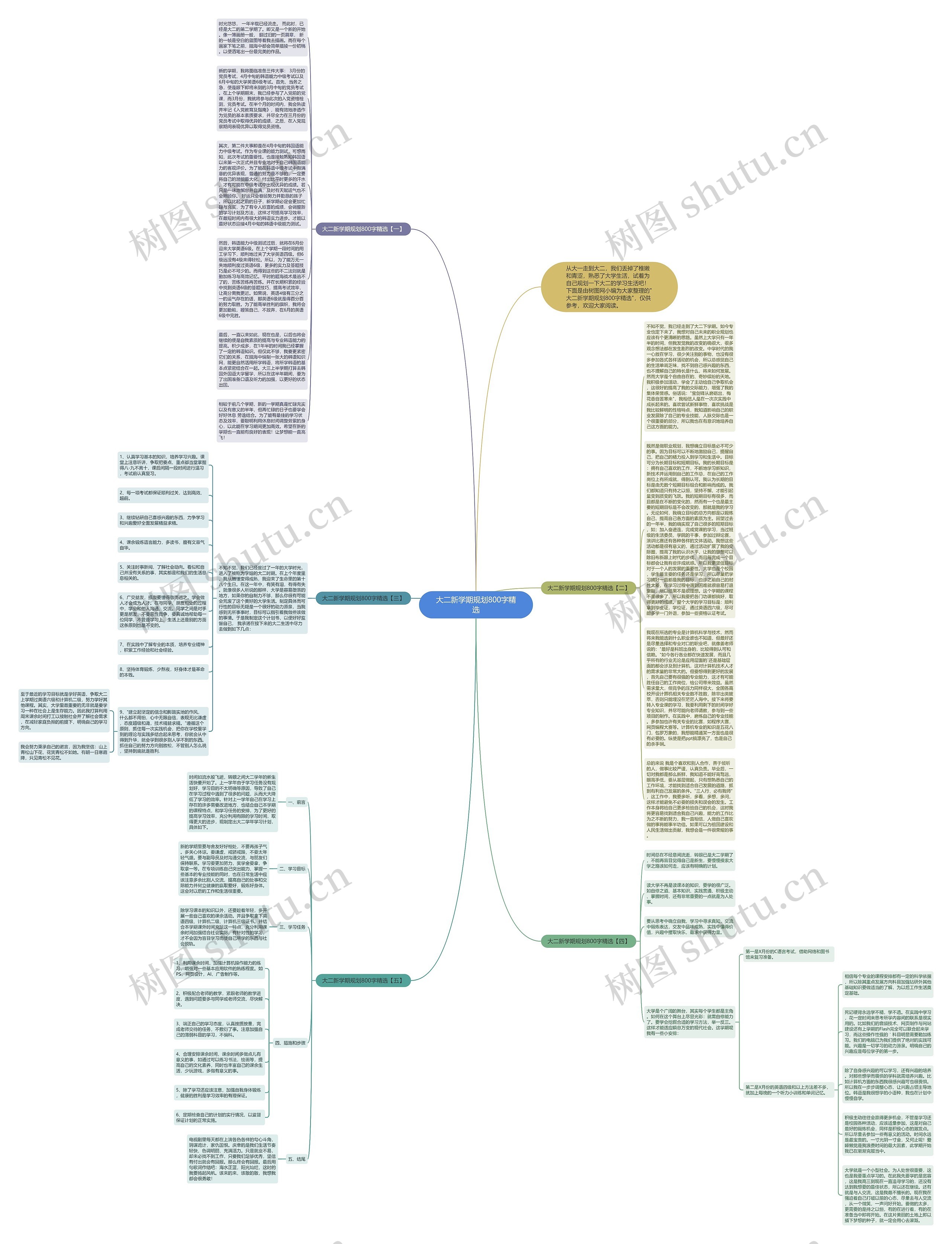 大二新学期规划800字精选思维导图