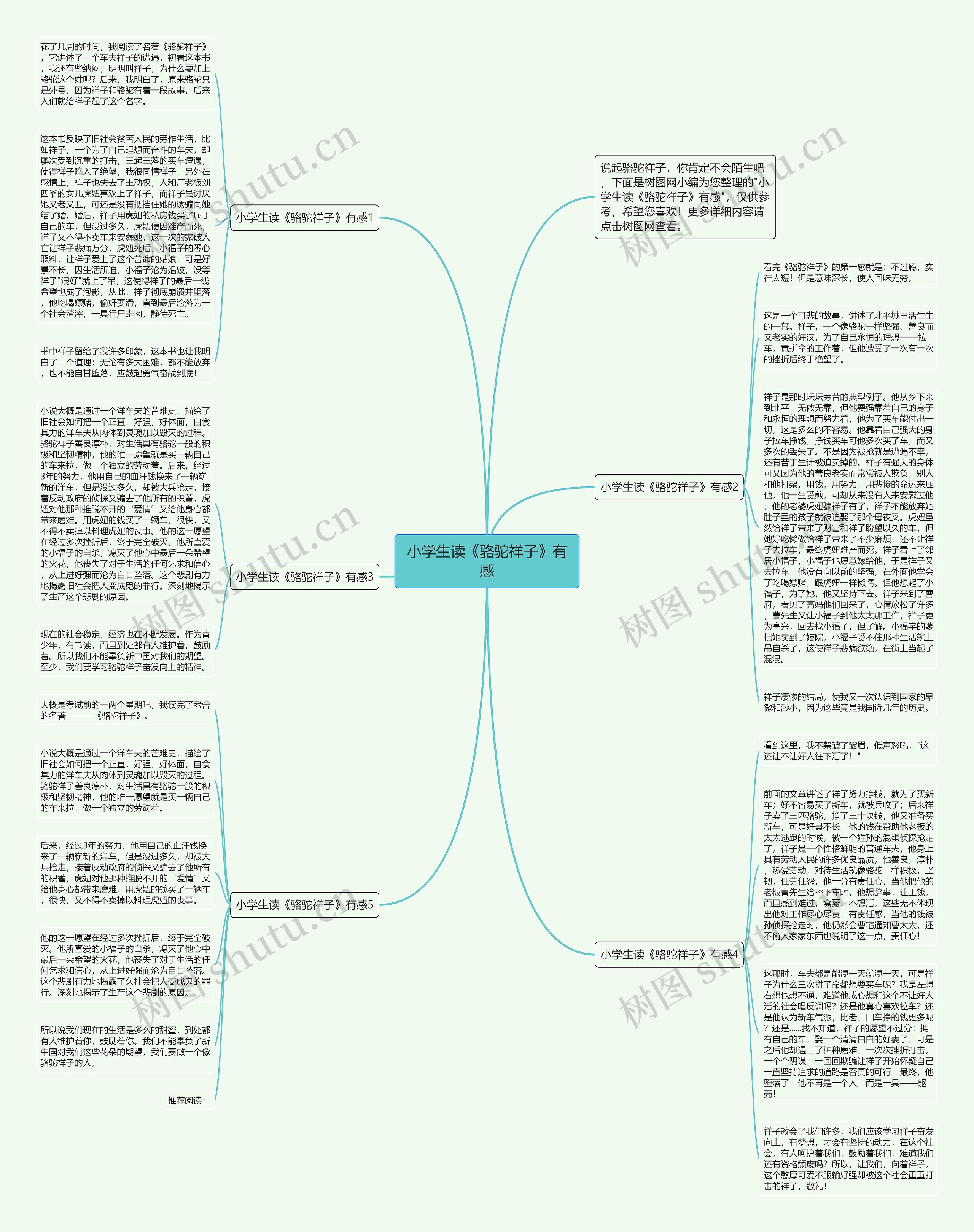 小学生读《骆驼祥子》有感思维导图