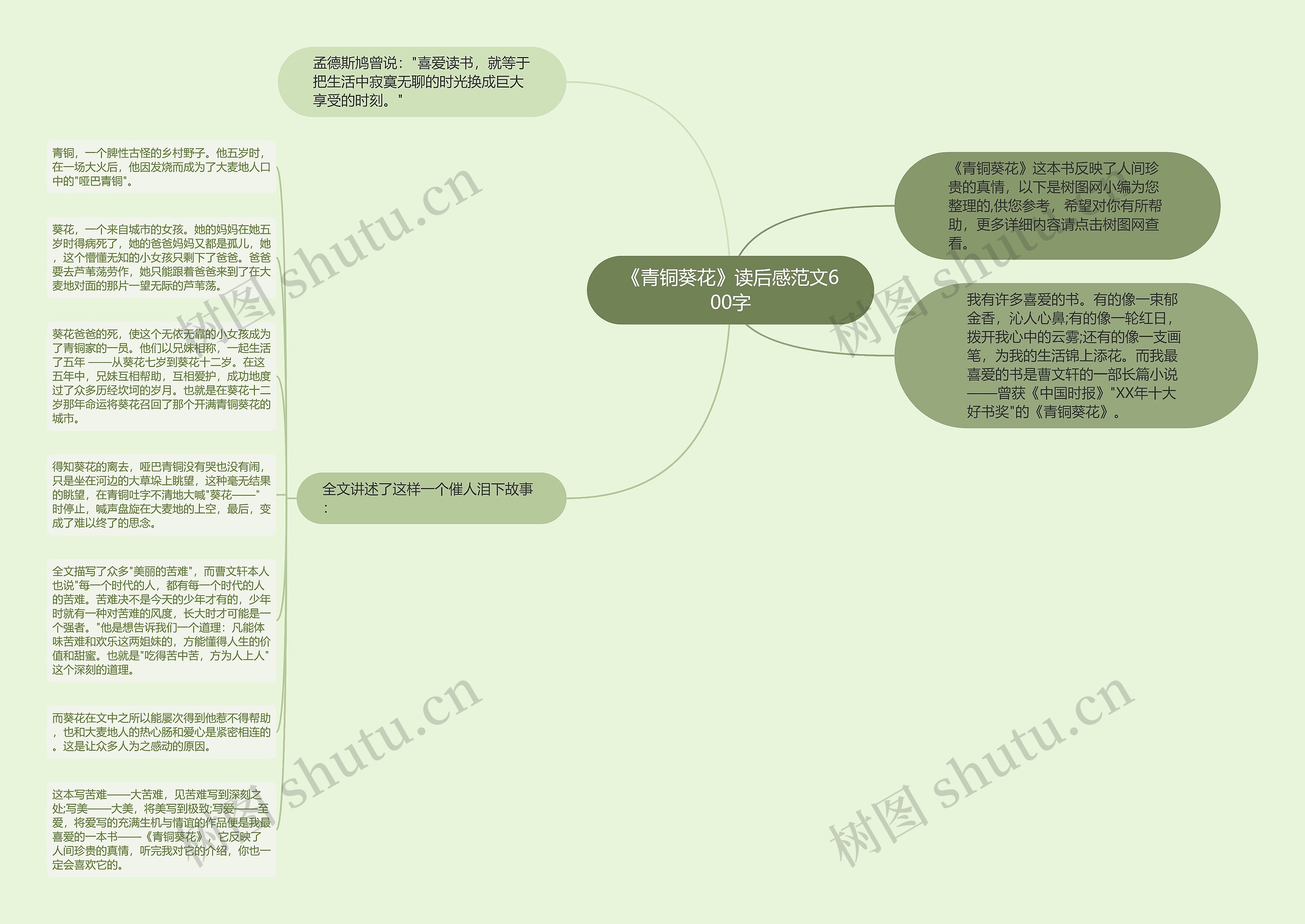 《青铜葵花》读后感范文600字思维导图