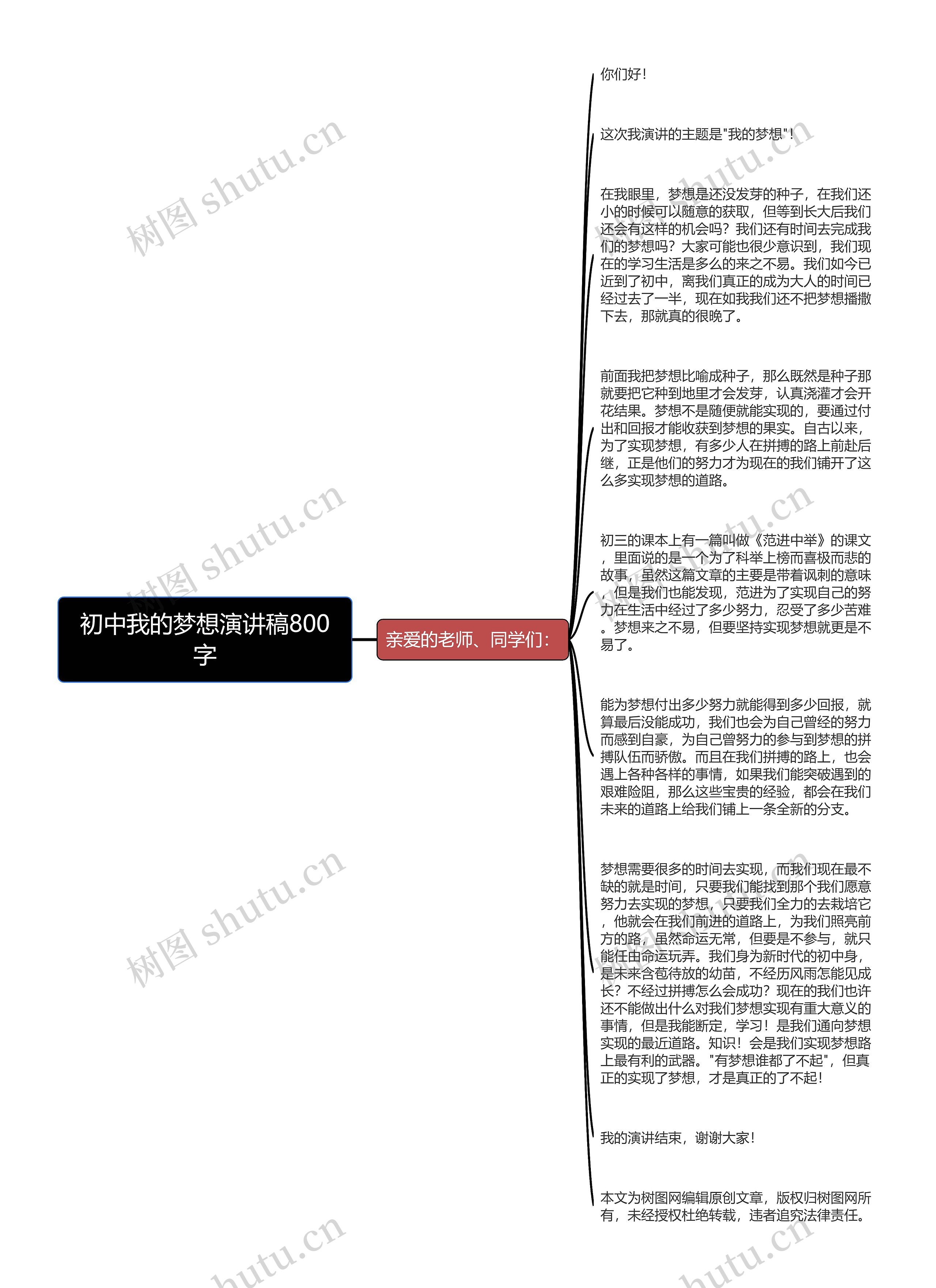 初中我的梦想演讲稿800字