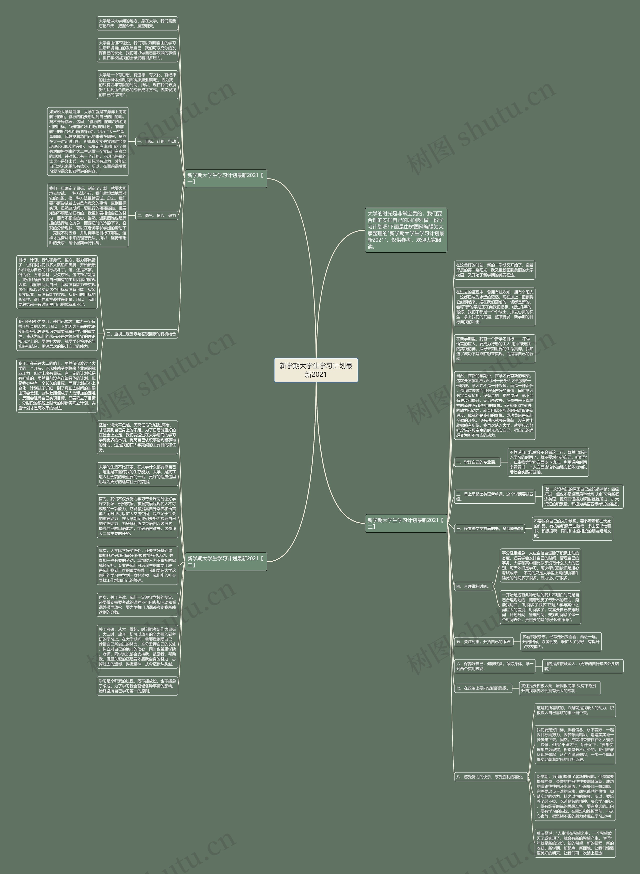 新学期大学生学习计划最新2021思维导图