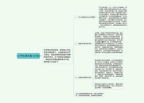 小学生期末复习计划