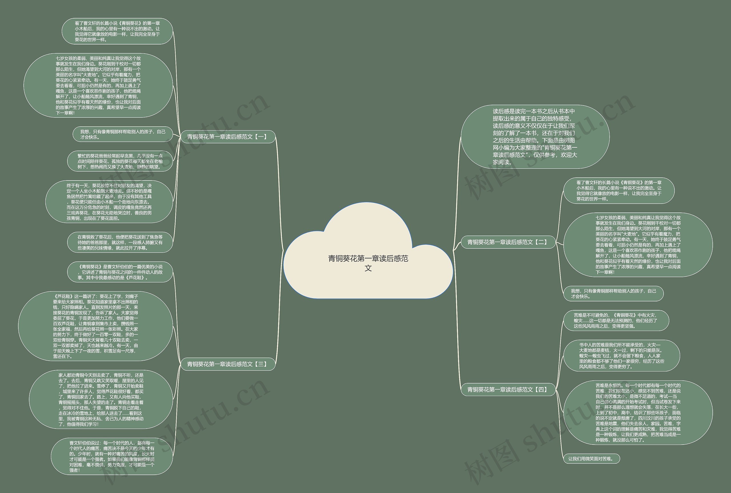 青铜葵花第一章读后感范文思维导图