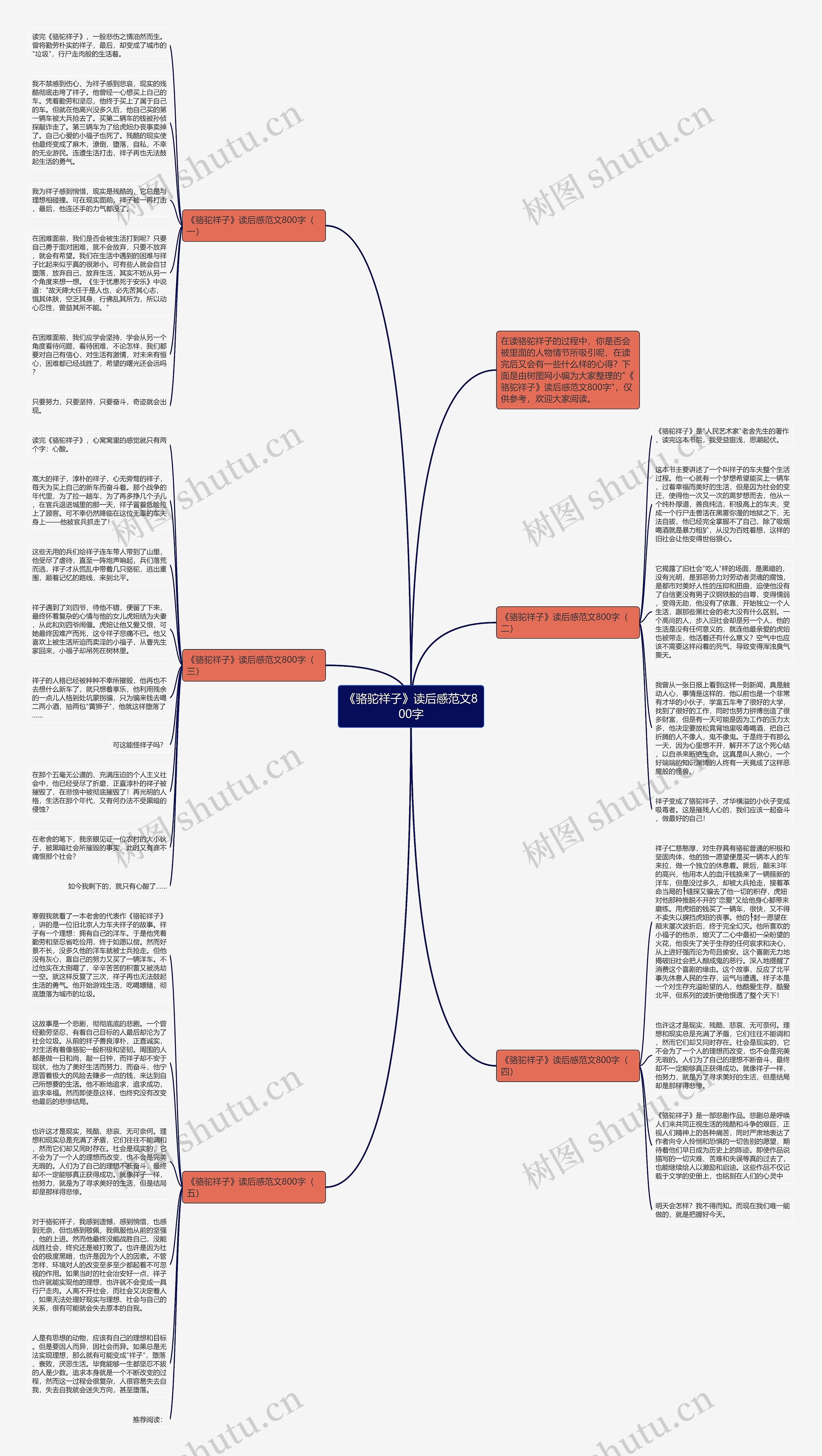 《骆驼祥子》读后感范文800字思维导图