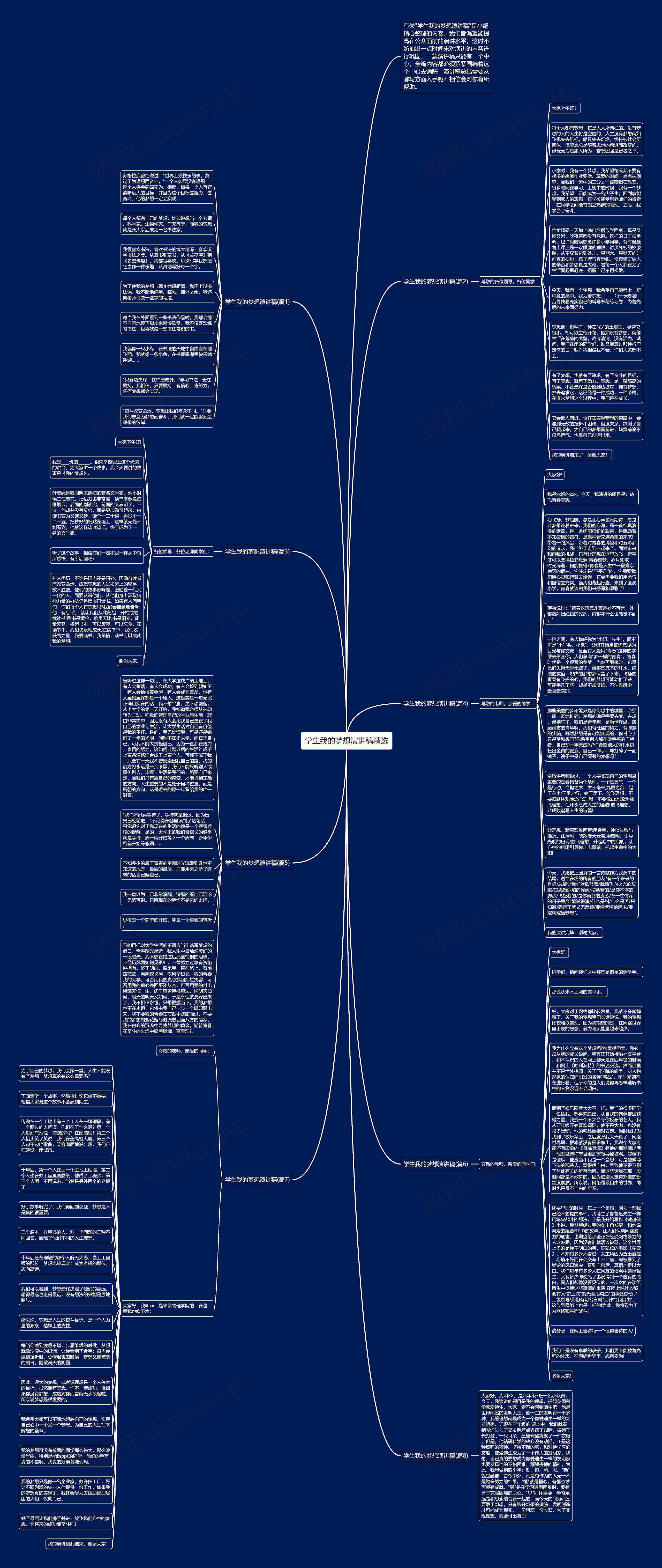 学生我的梦想演讲稿精选思维导图