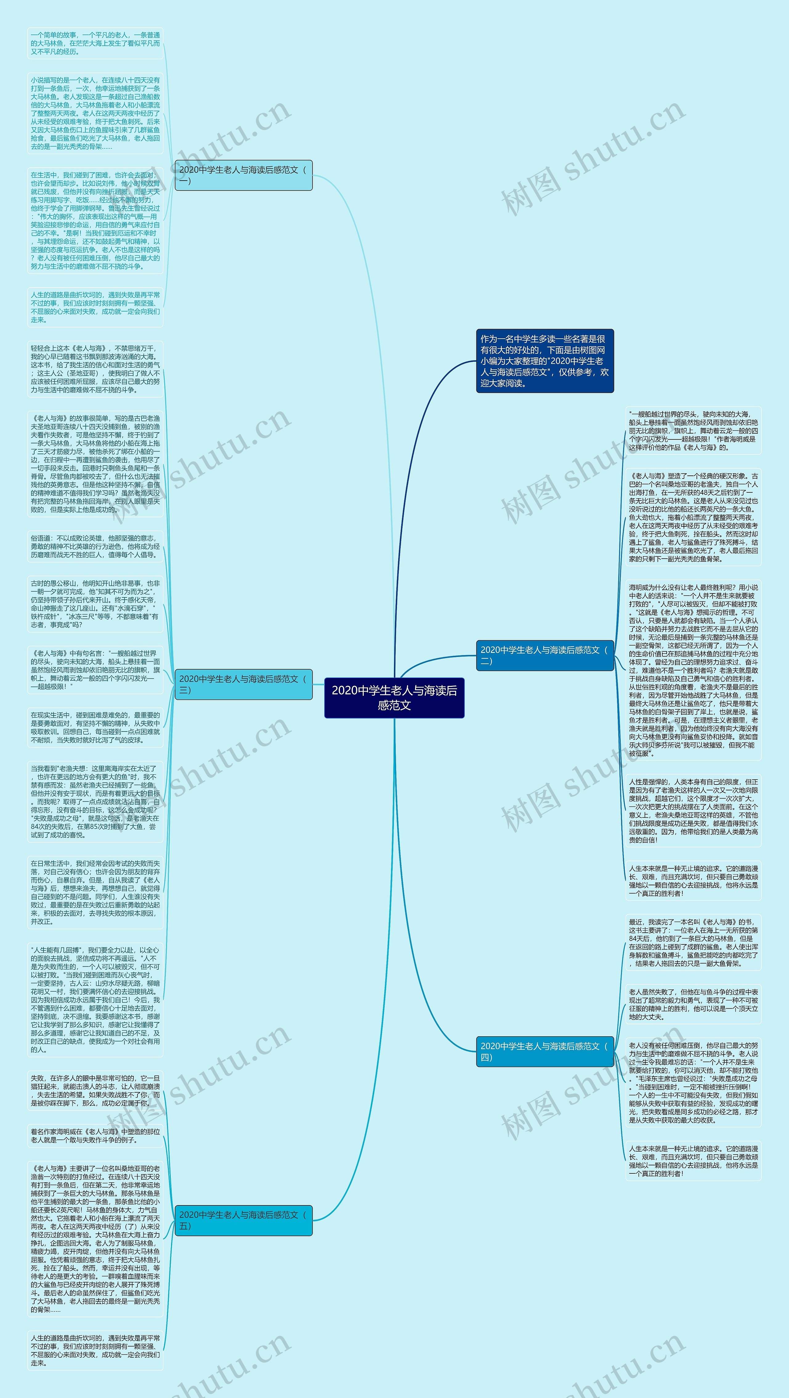 2020中学生老人与海读后感范文思维导图