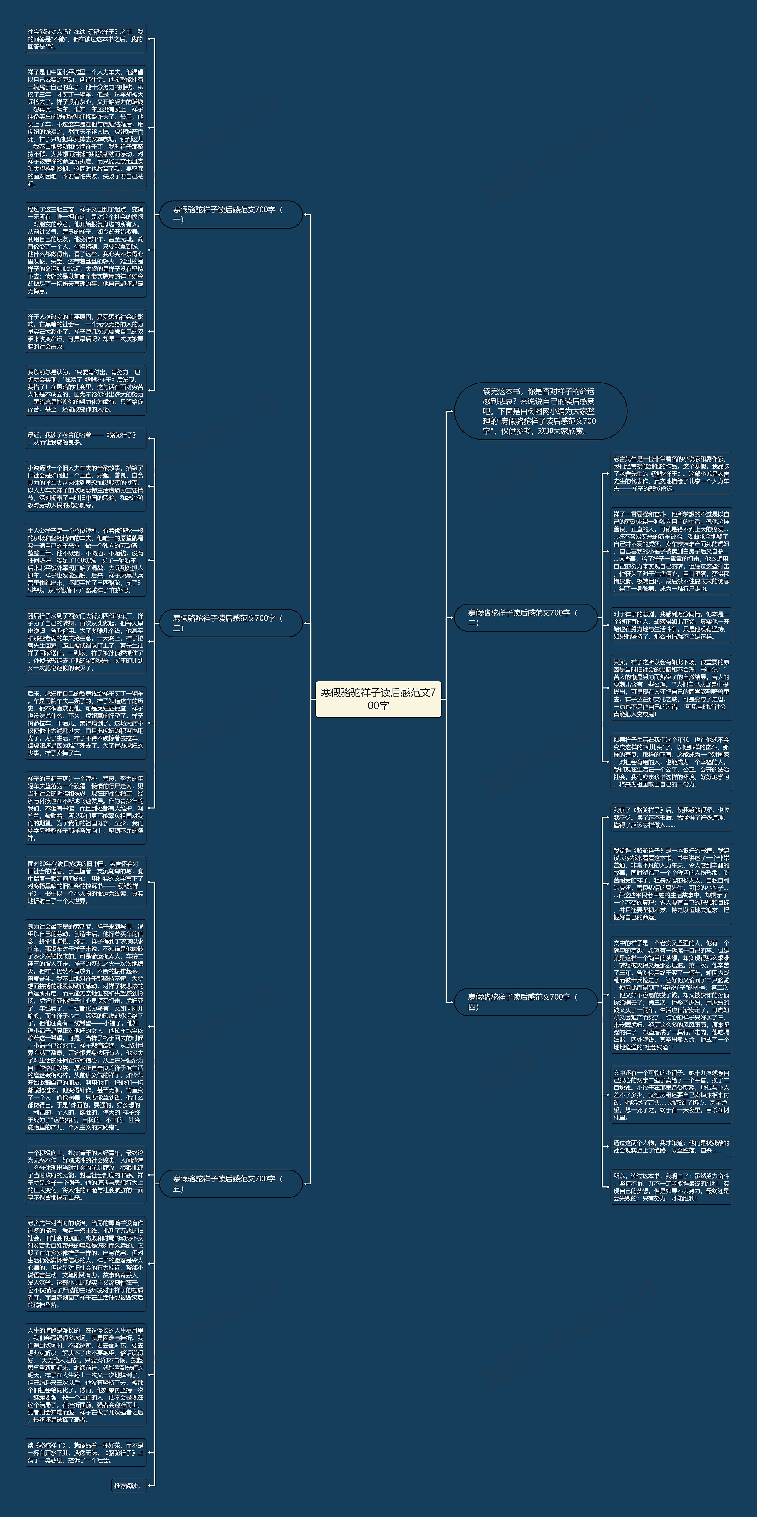 寒假骆驼祥子读后感范文700字思维导图高清图 寒假骆驼祥子读后感范文700字思维导图