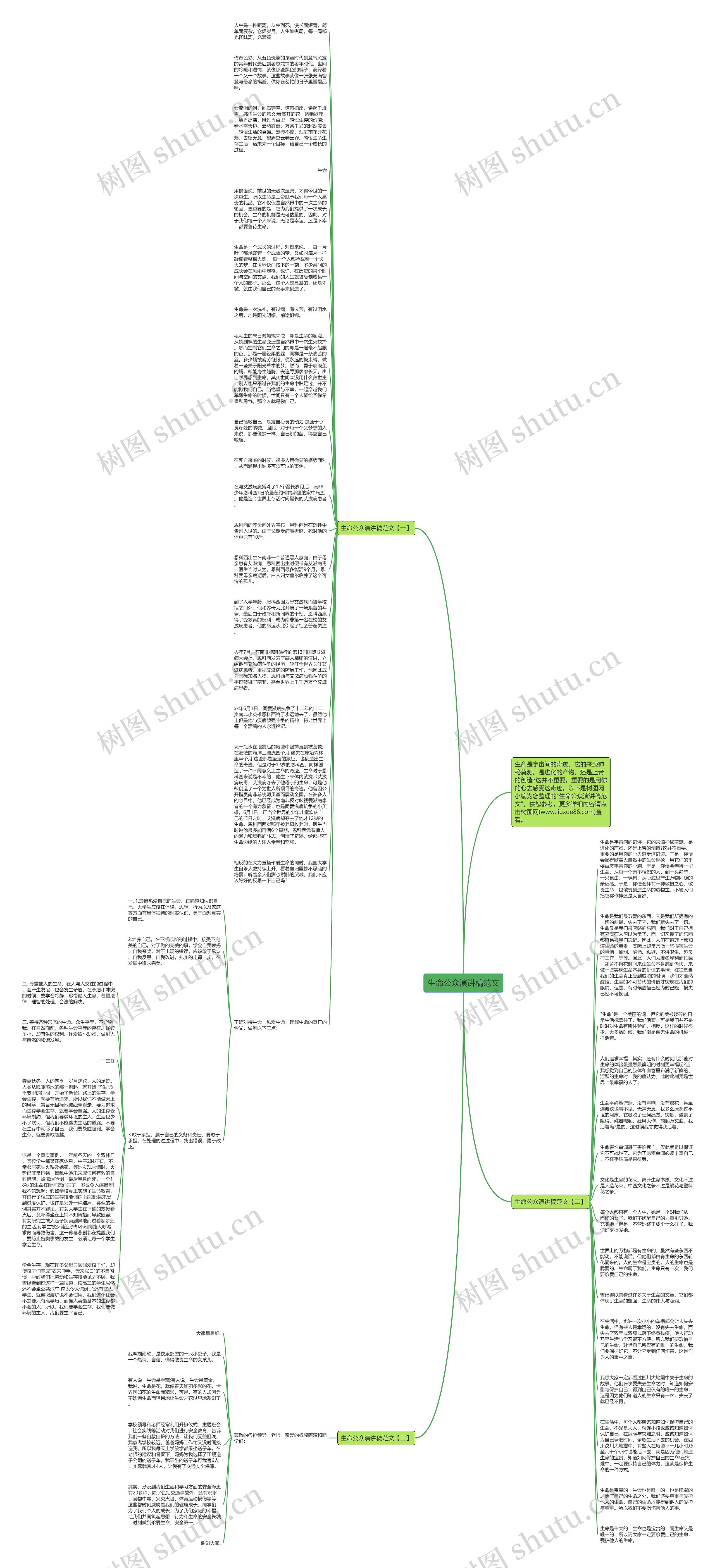 生命公众演讲稿范文思维导图