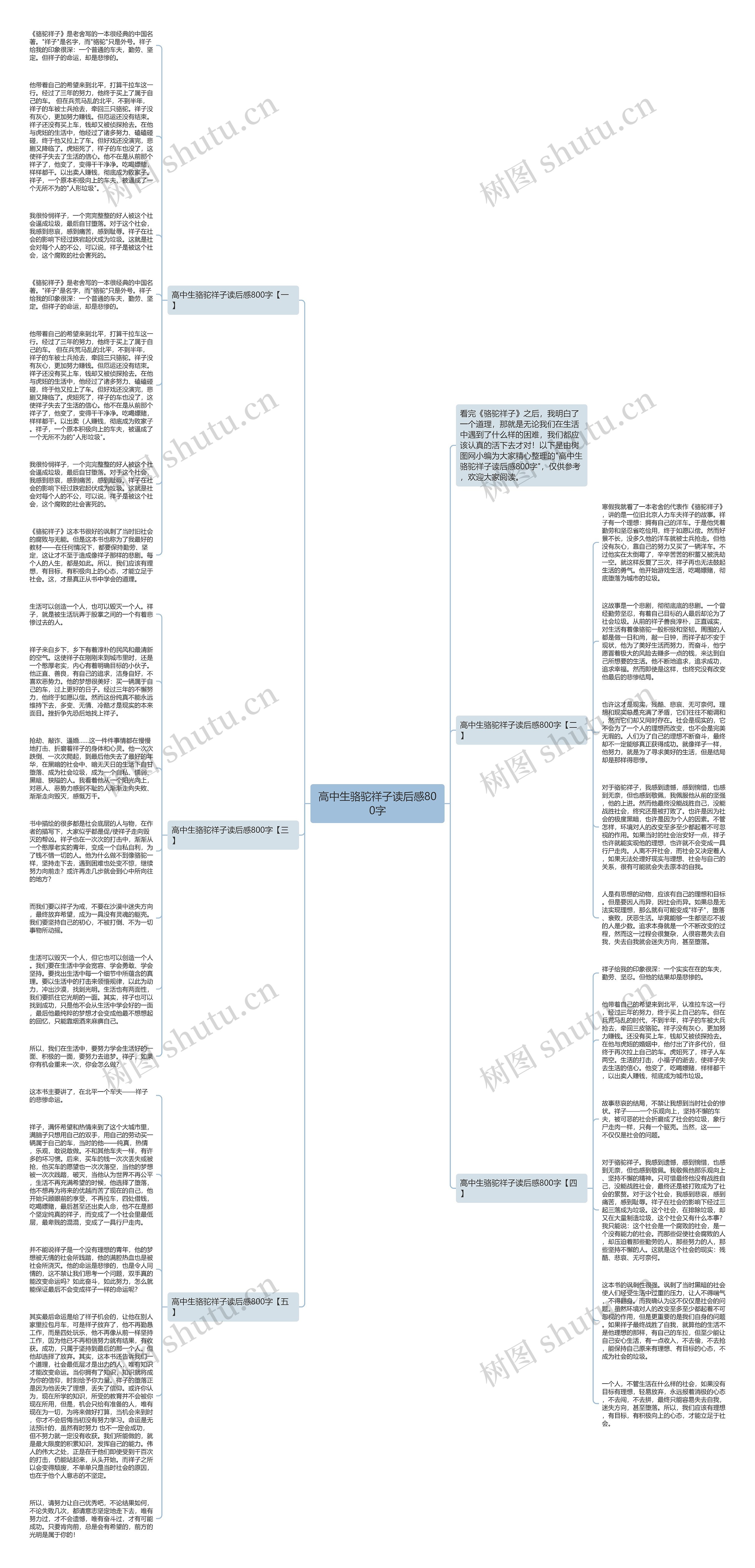 高中生骆驼祥子读后感800字思维导图