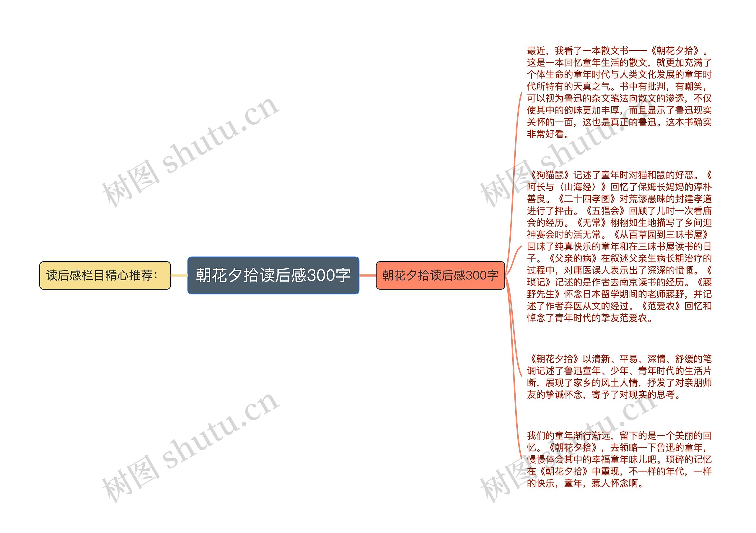 朝花夕拾读后感300字