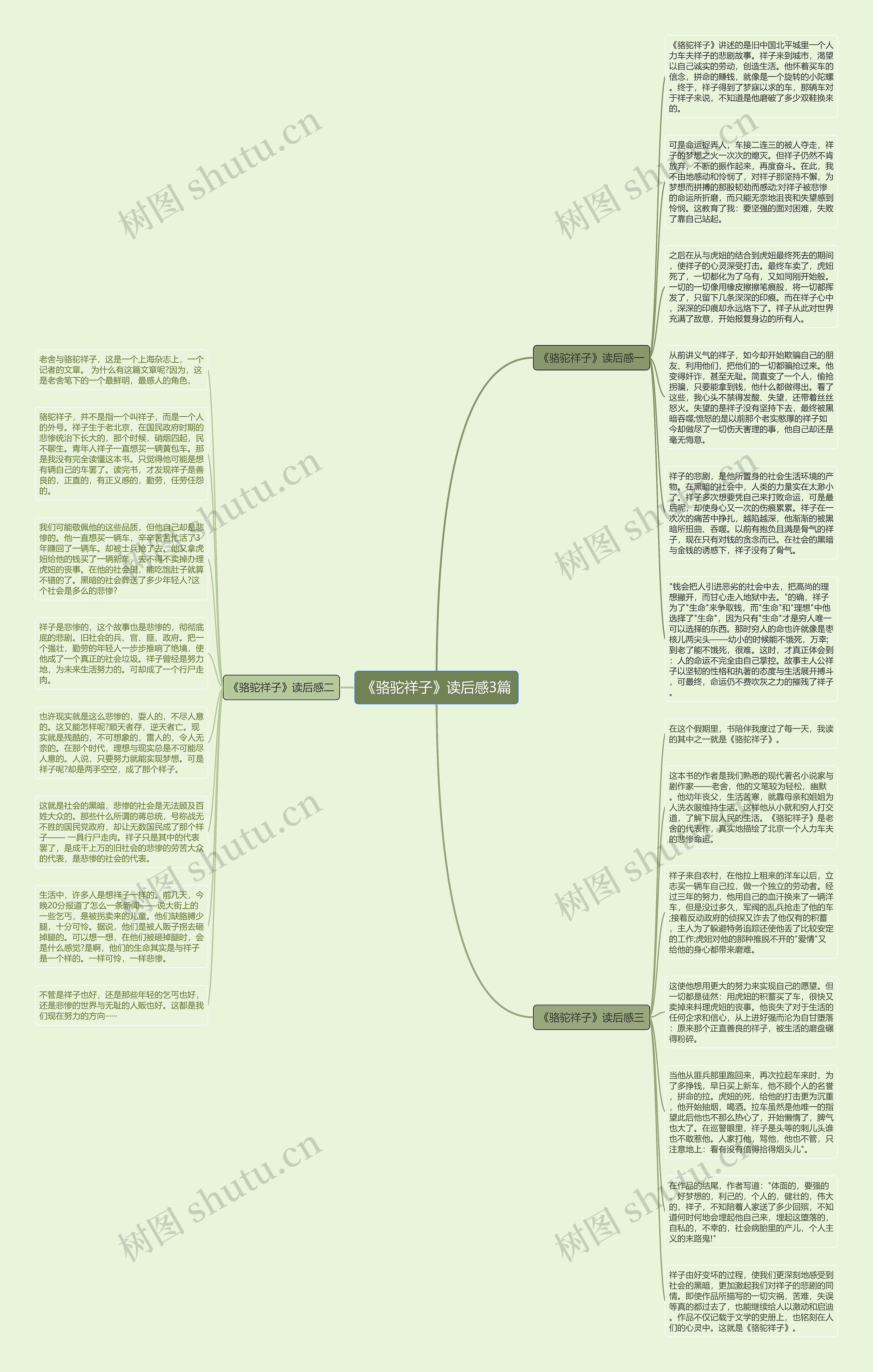 《骆驼祥子》读后感3篇思维导图