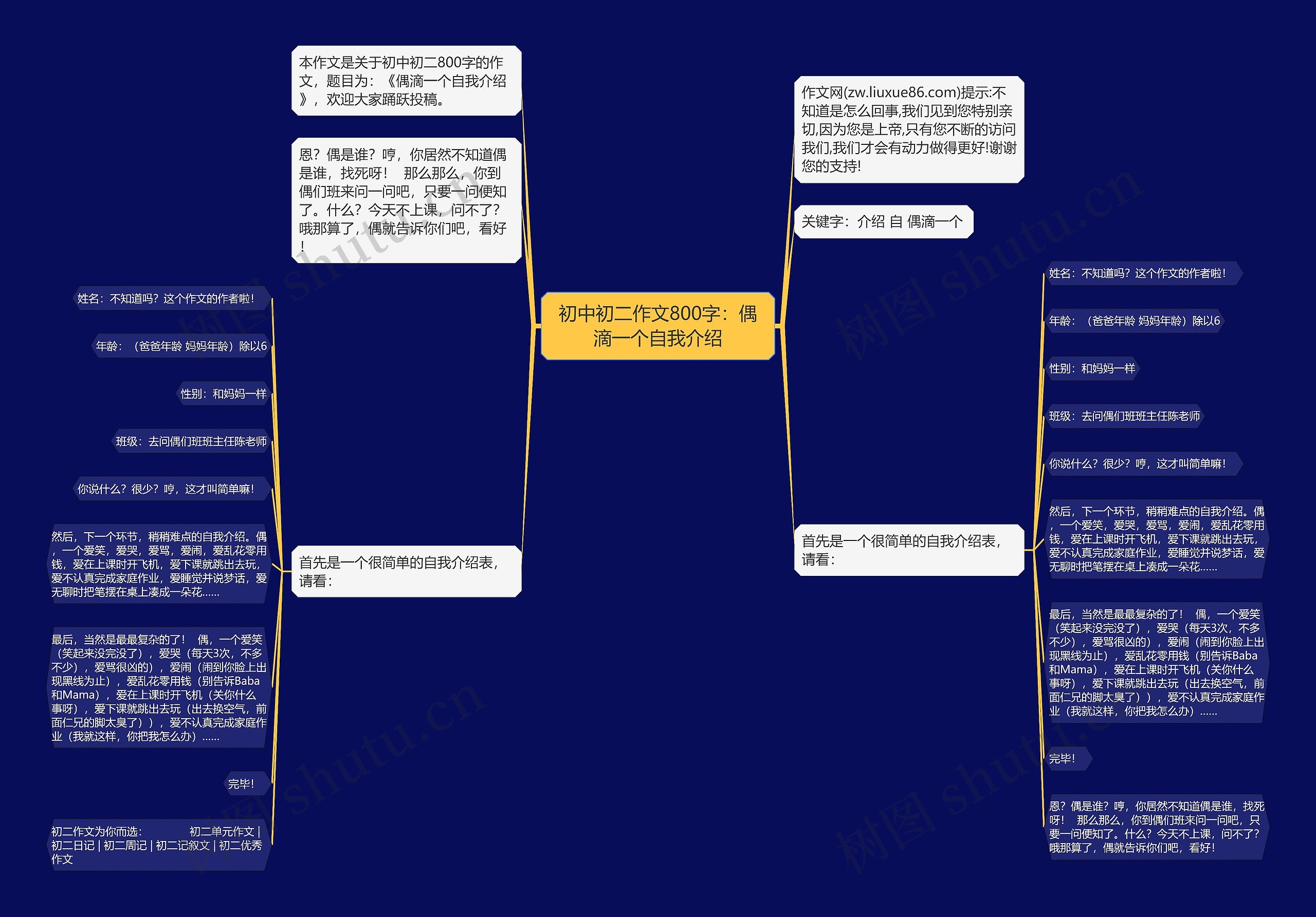 初中初二作文800字：偶滴一个自我介绍思维导图