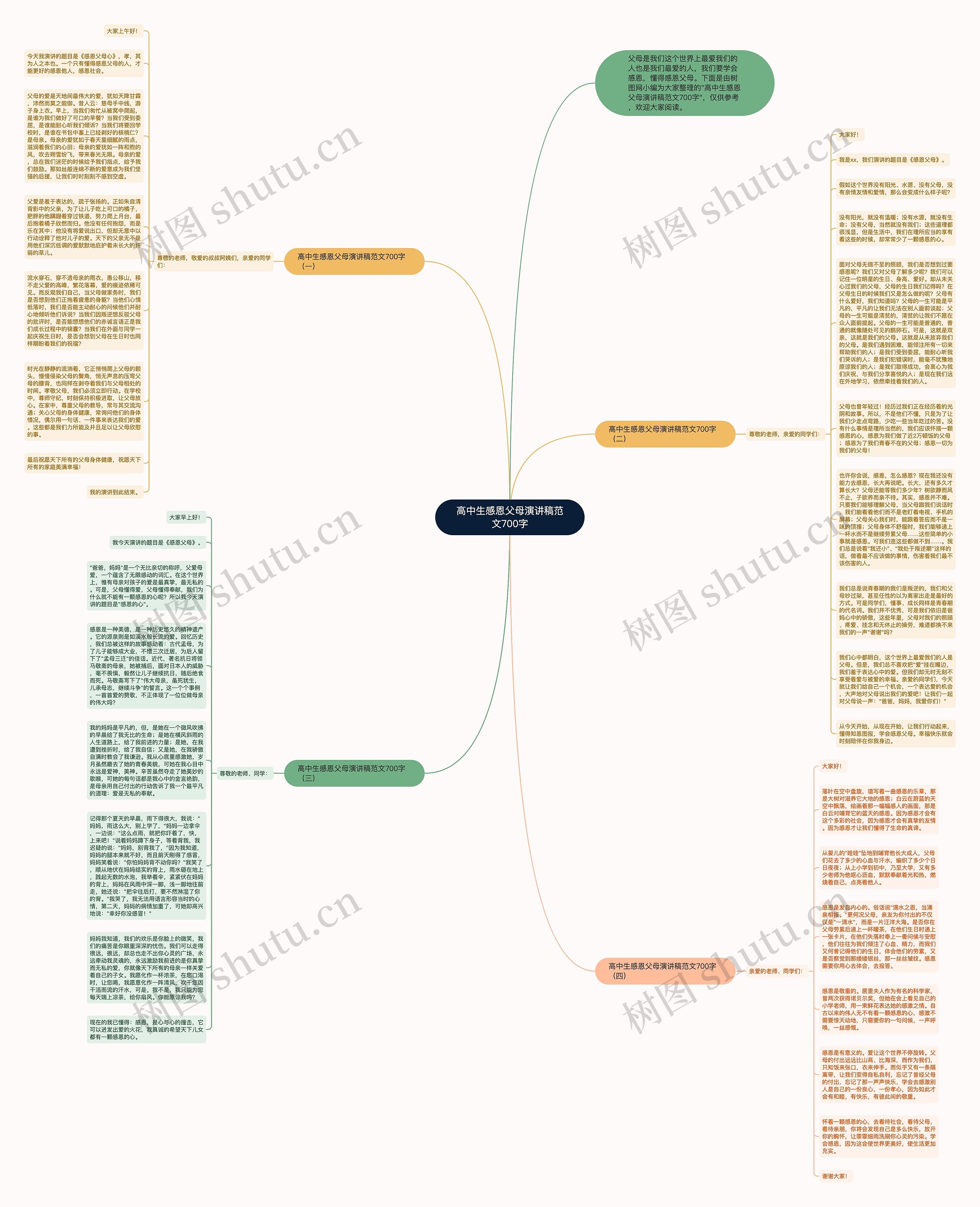高中生感恩父母演讲稿范文700字思维导图