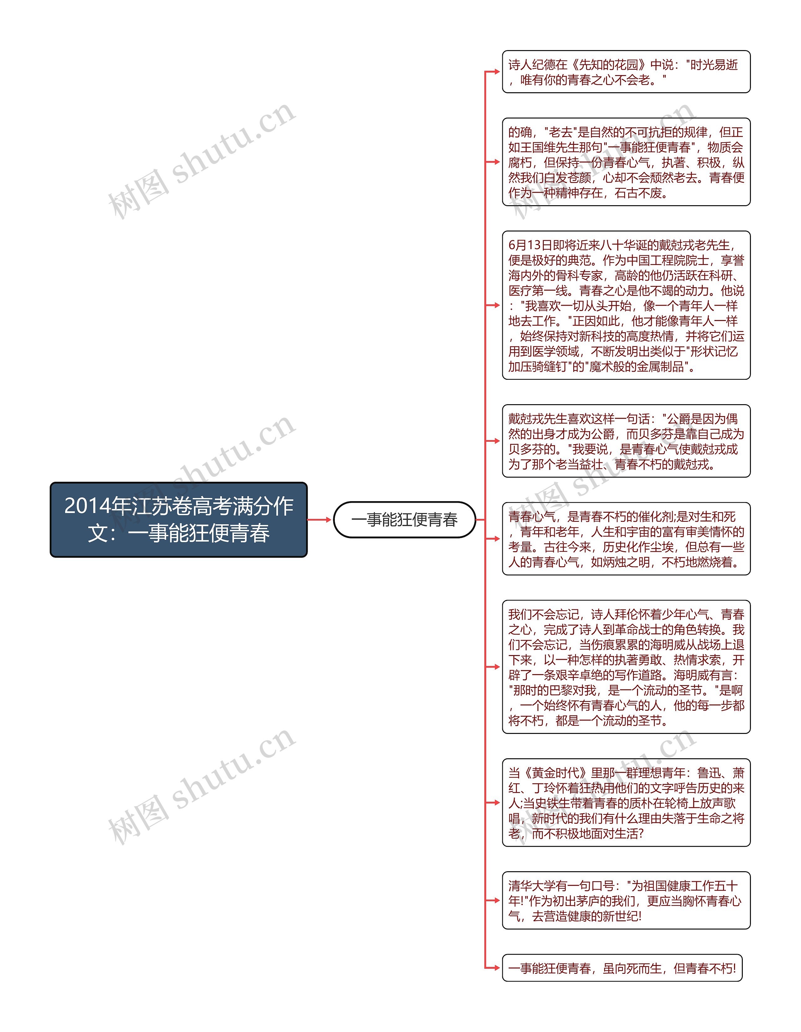 2014年江苏卷高考满分作文：一事能狂便青春