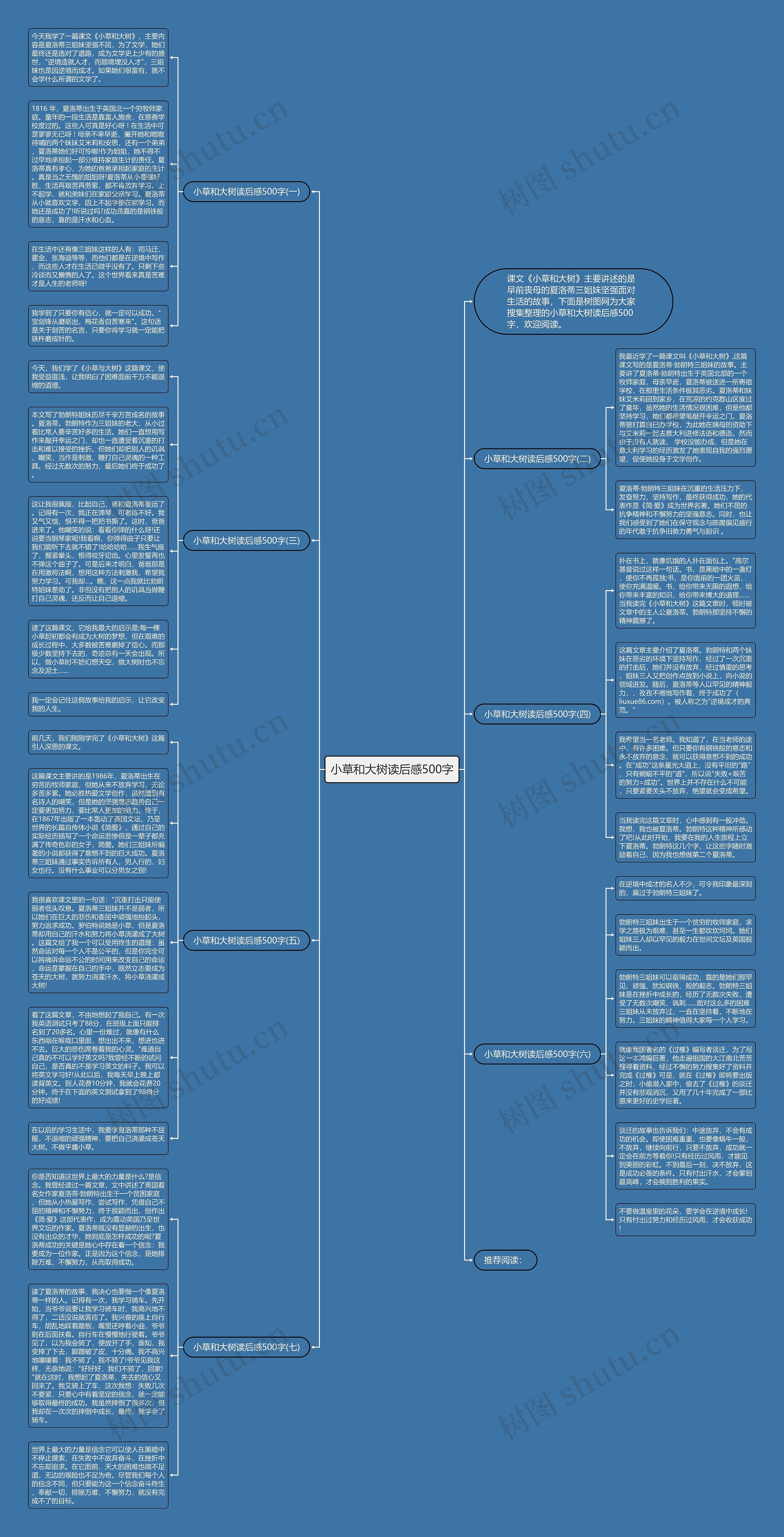小草和大树读后感500字思维导图
