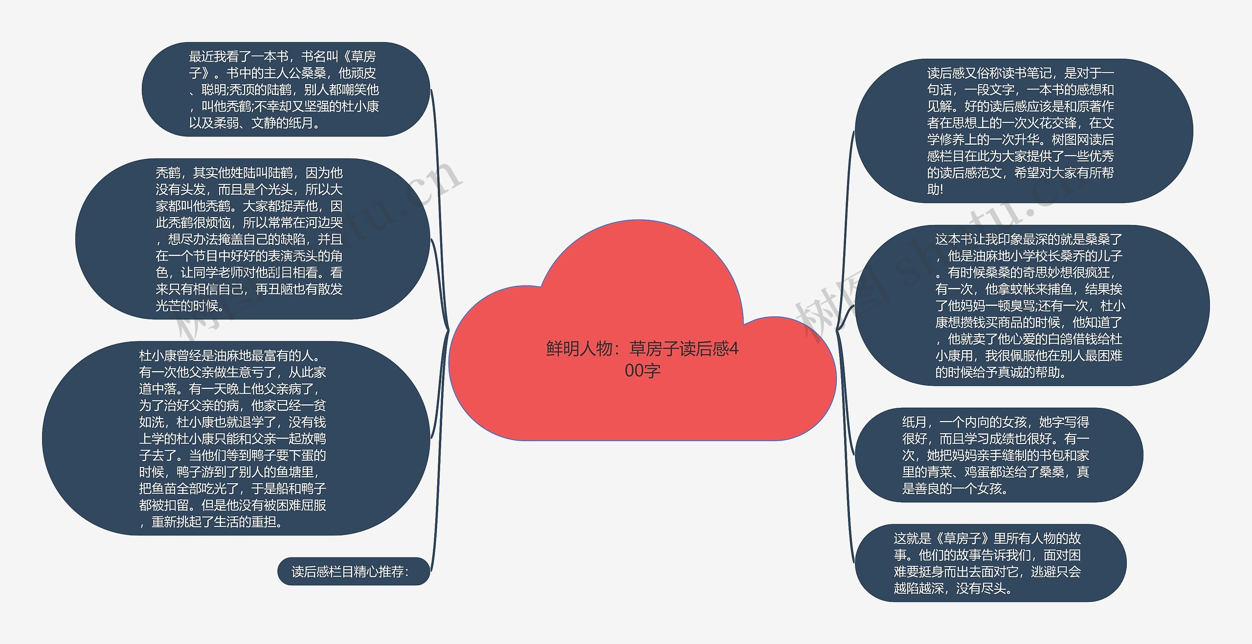 鲜明人物：草房子读后感400字