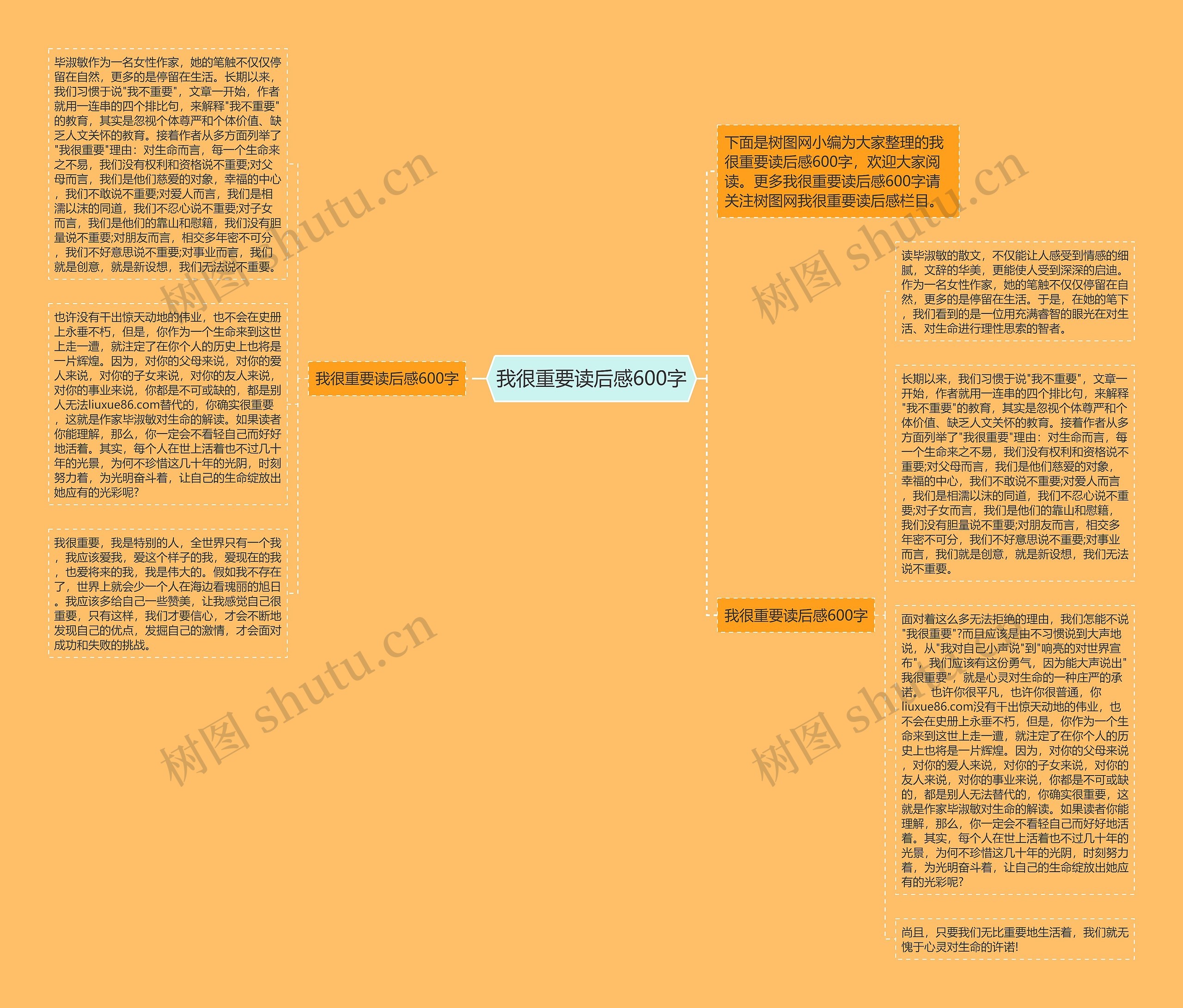 我很重要读后感600字思维导图