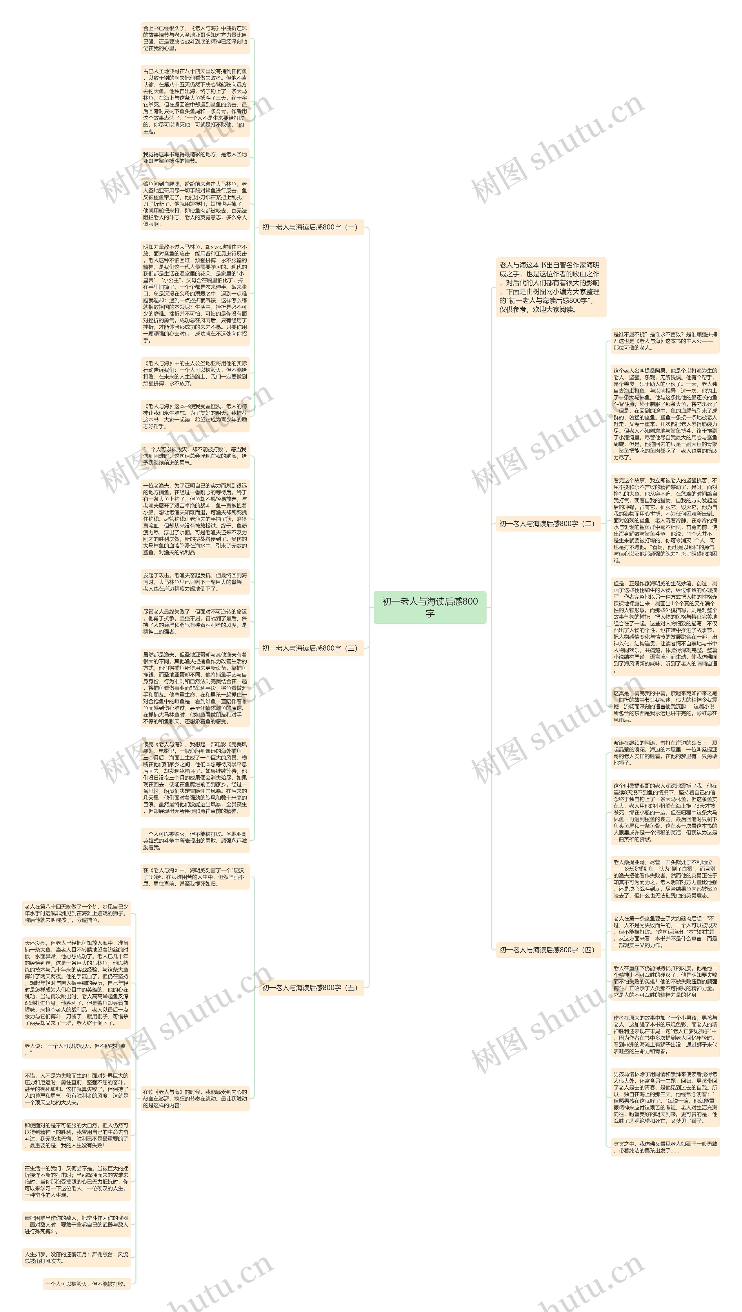 初一老人与海读后感800字思维导图